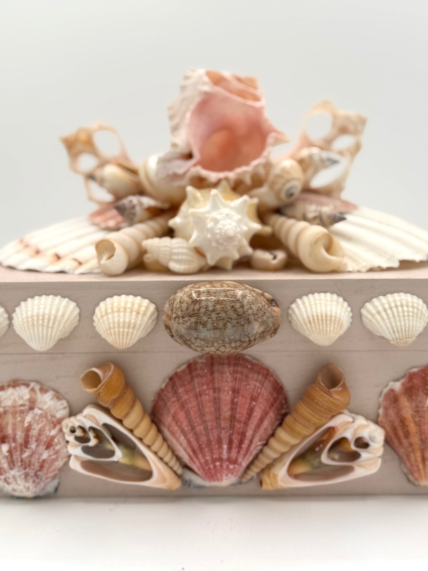 Shell Box