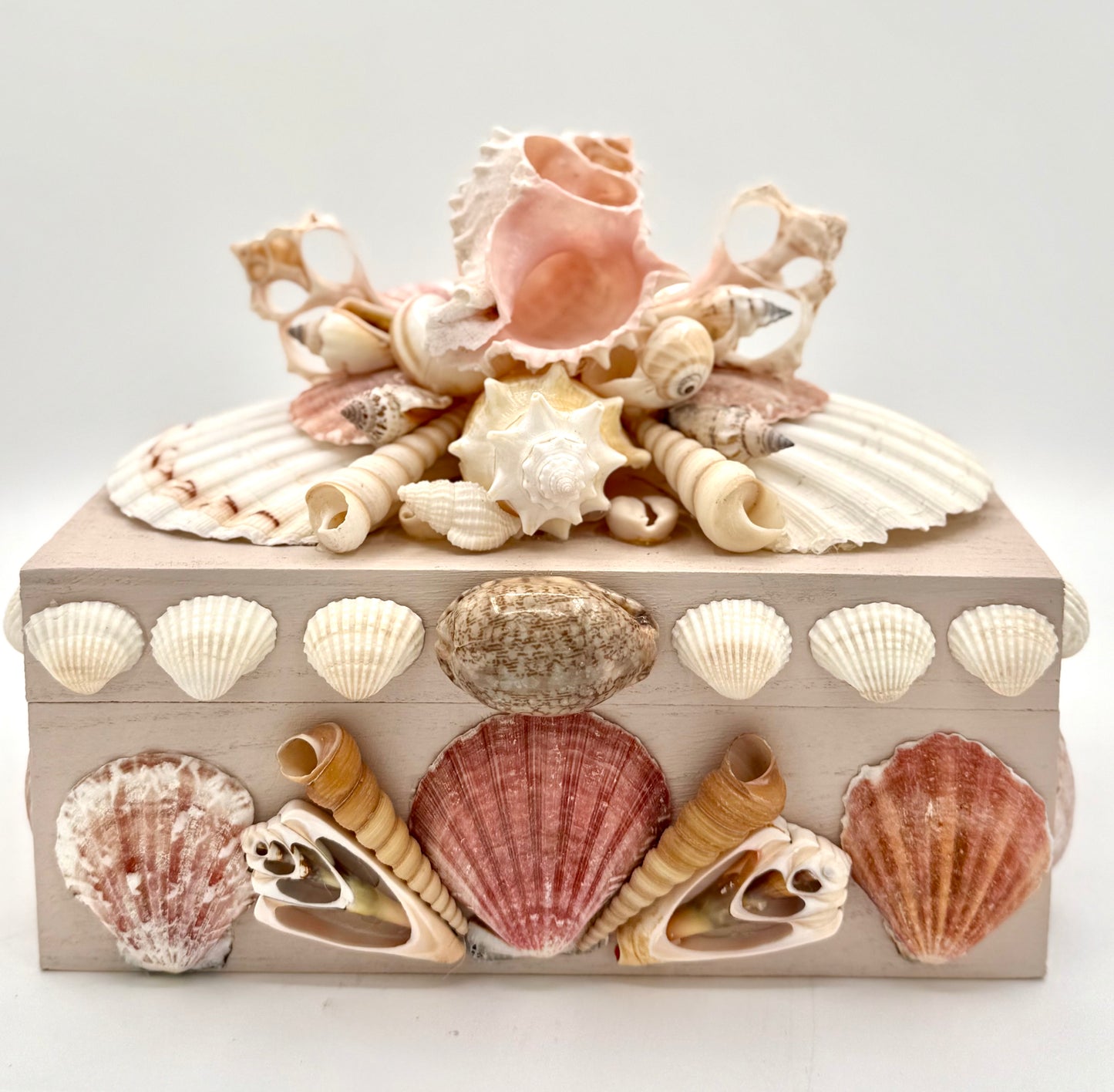 Shell Box