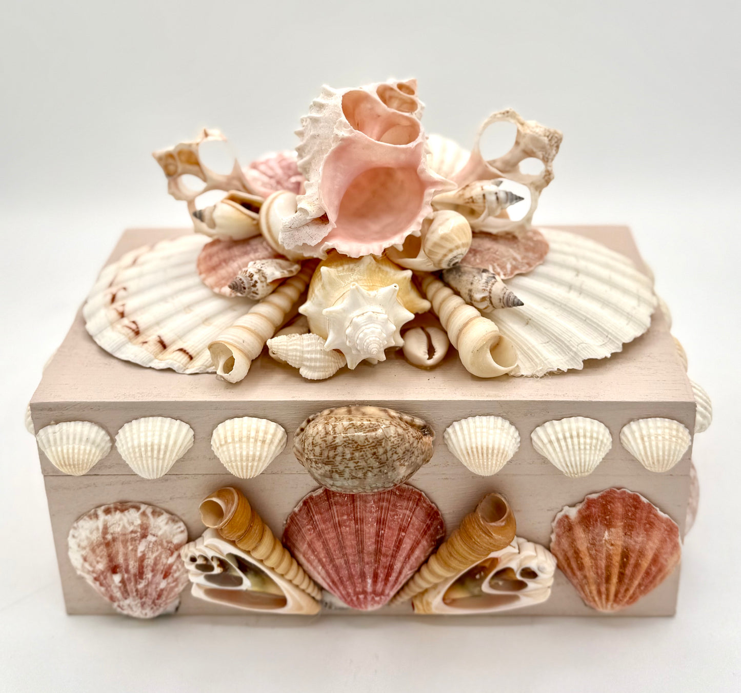 Shell Box