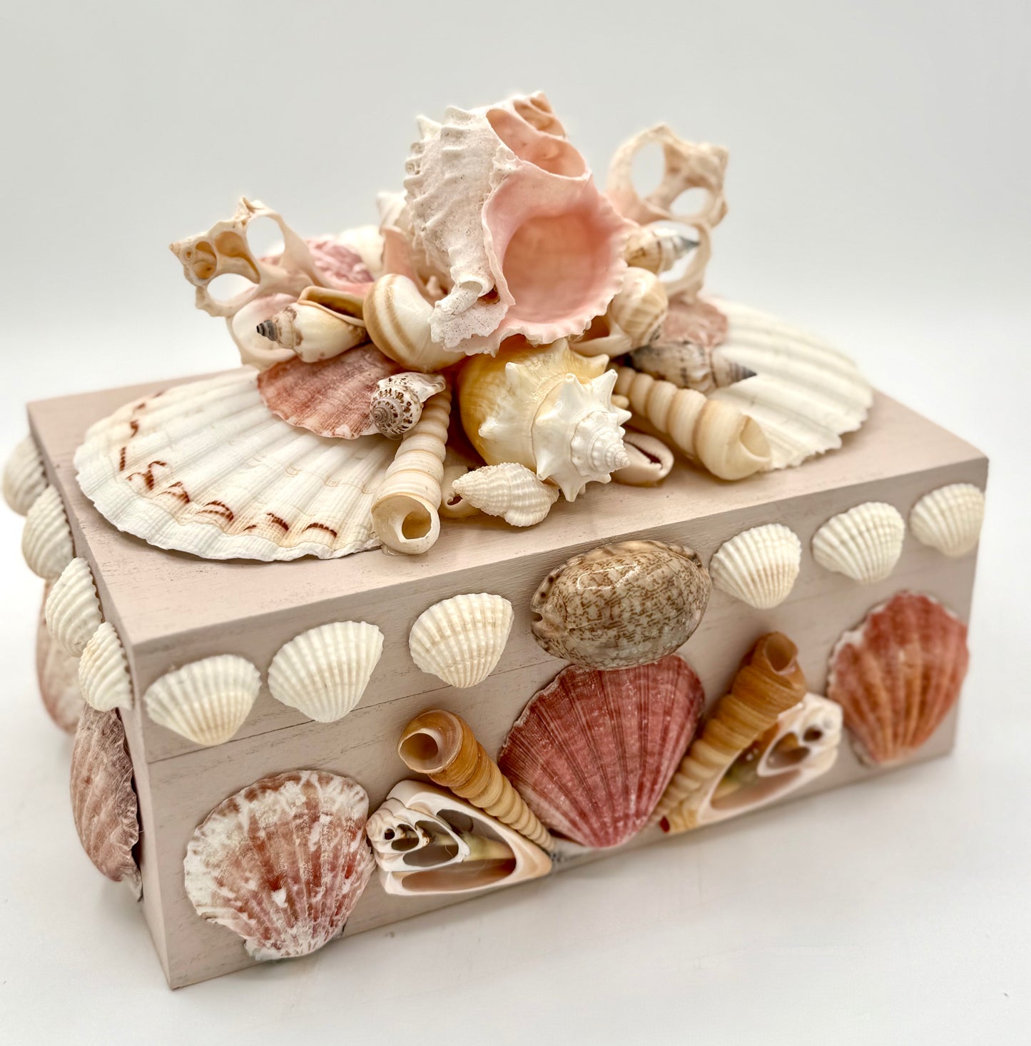 Shell Box