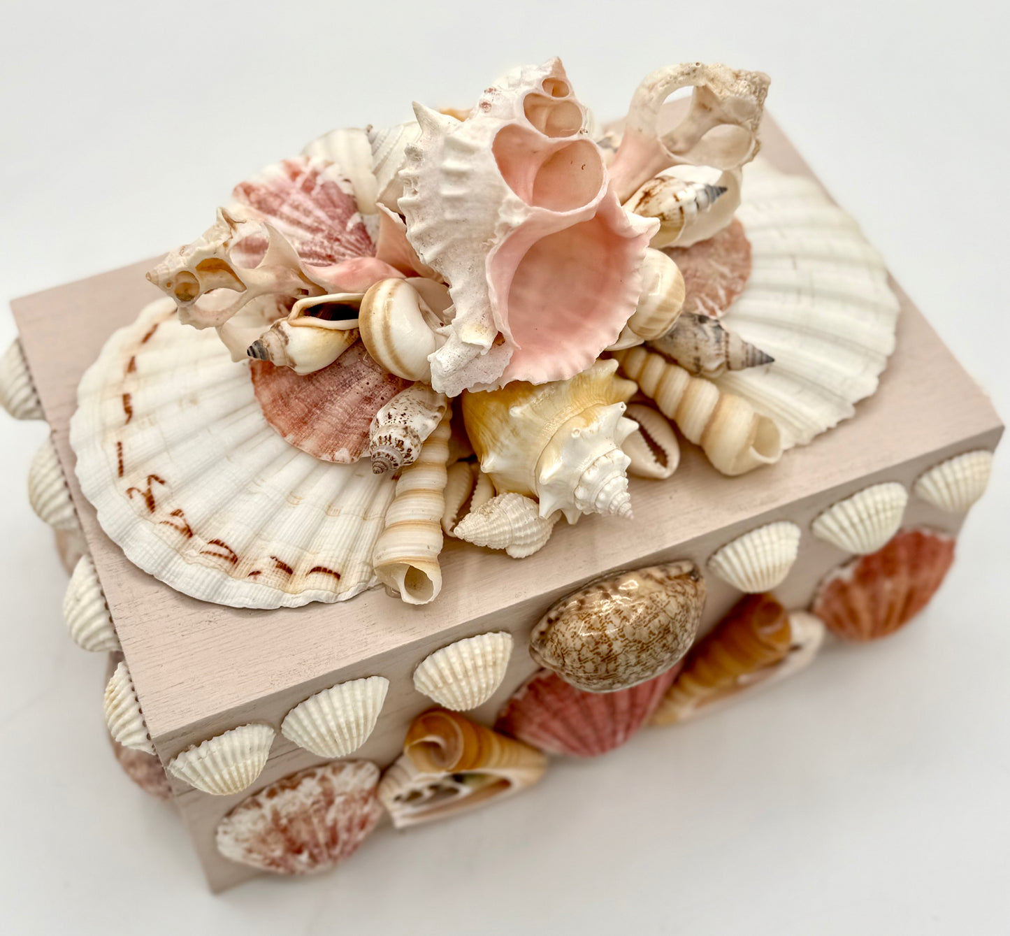 Shell Box