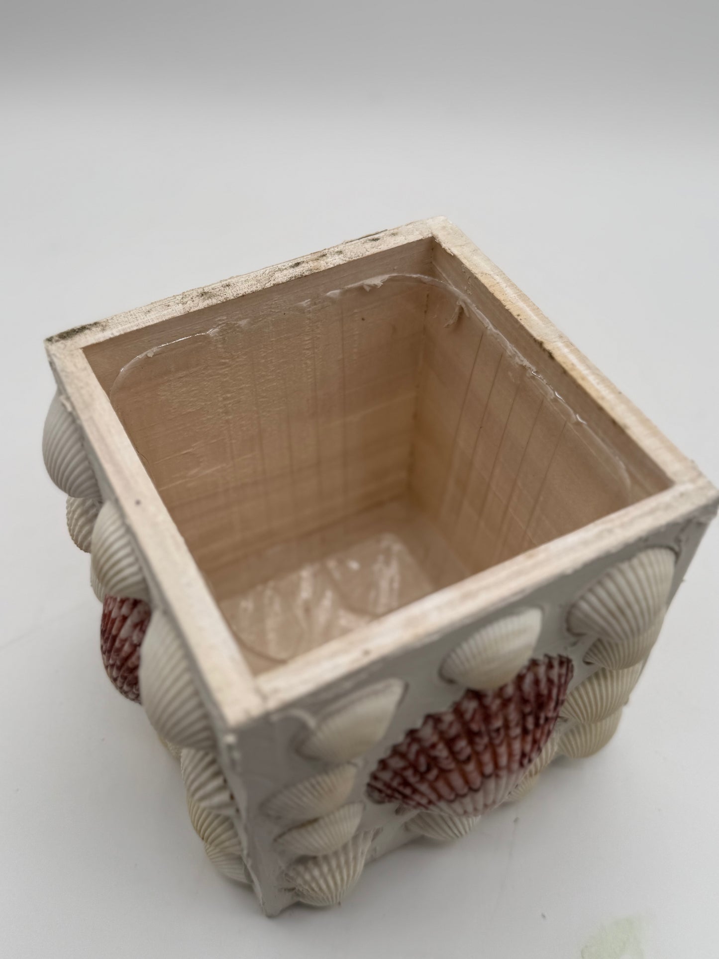 5" Shell Planter Box