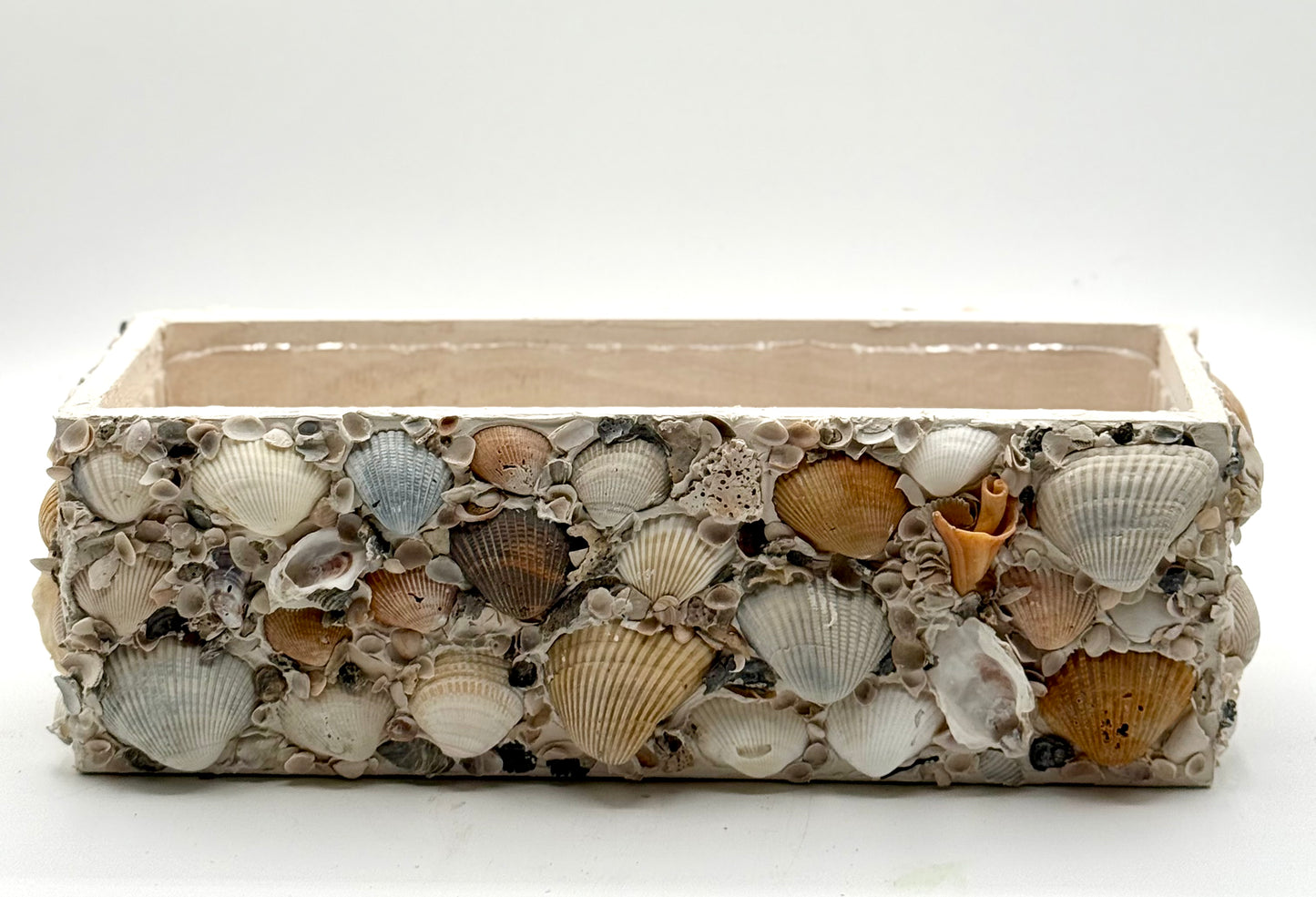 Shell Planter Box, 12"