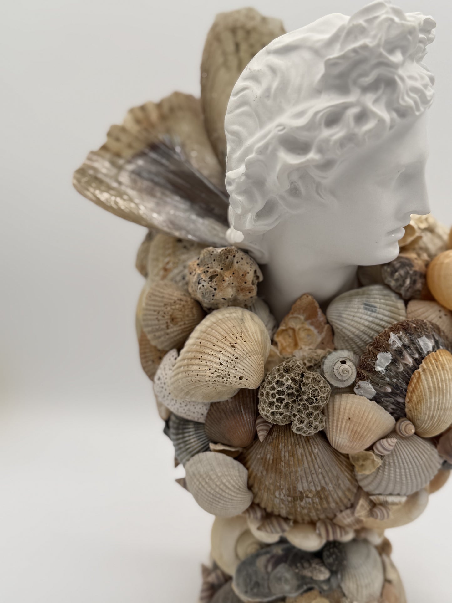 Greek God Shell Bust