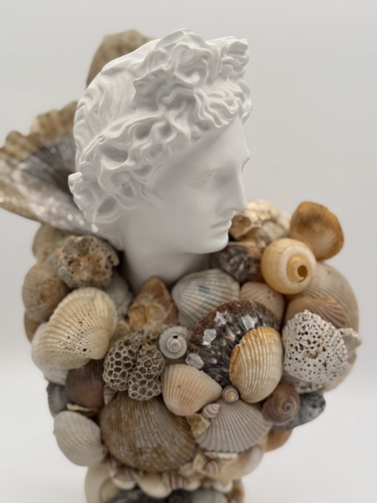 Greek God Shell Bust
