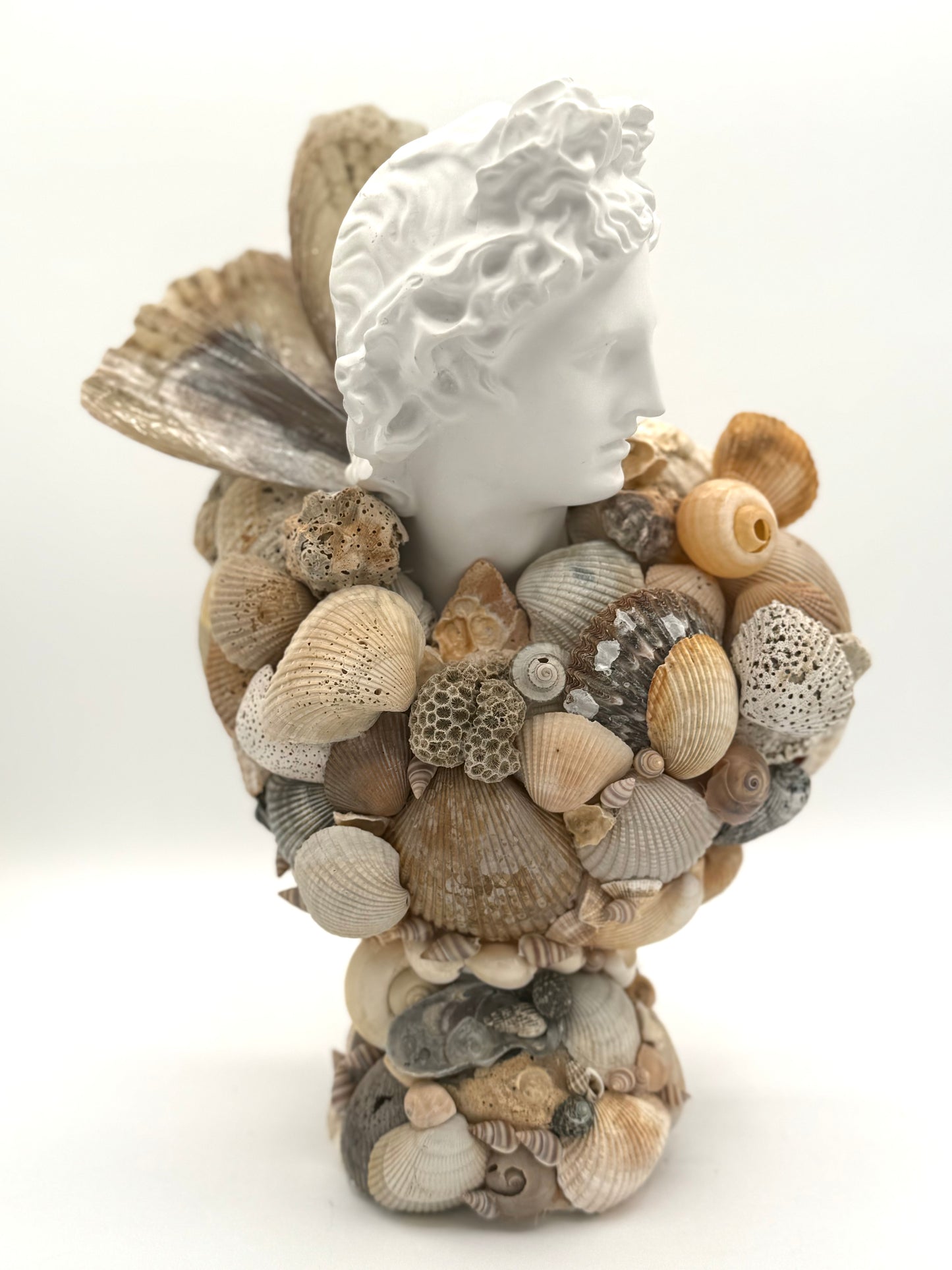 Greek God Shell Bust
