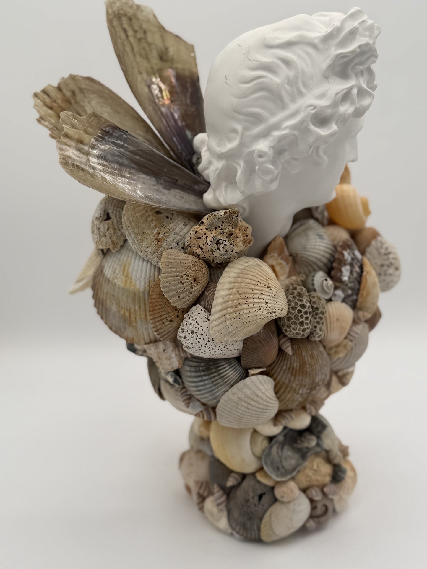 Greek God Shell Bust