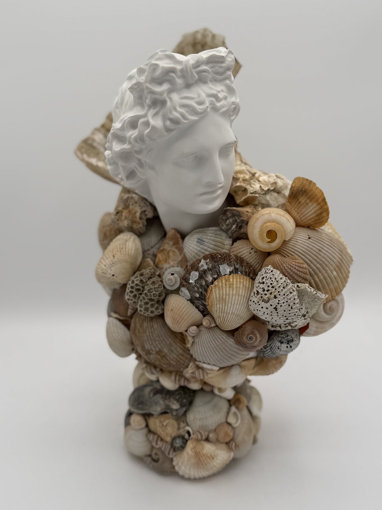 Greek God Shell Bust