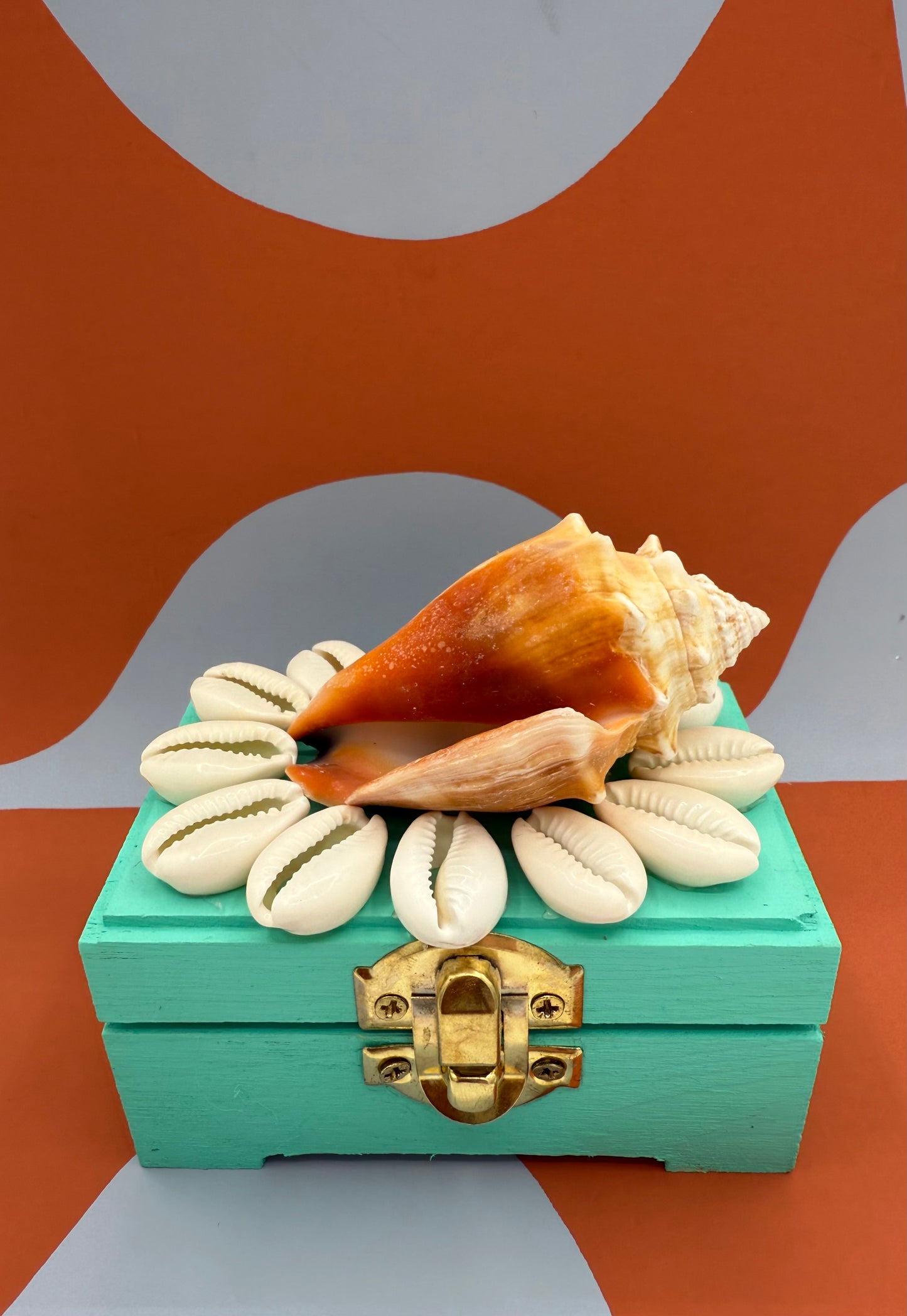 The Shell Shop Gift Certificate