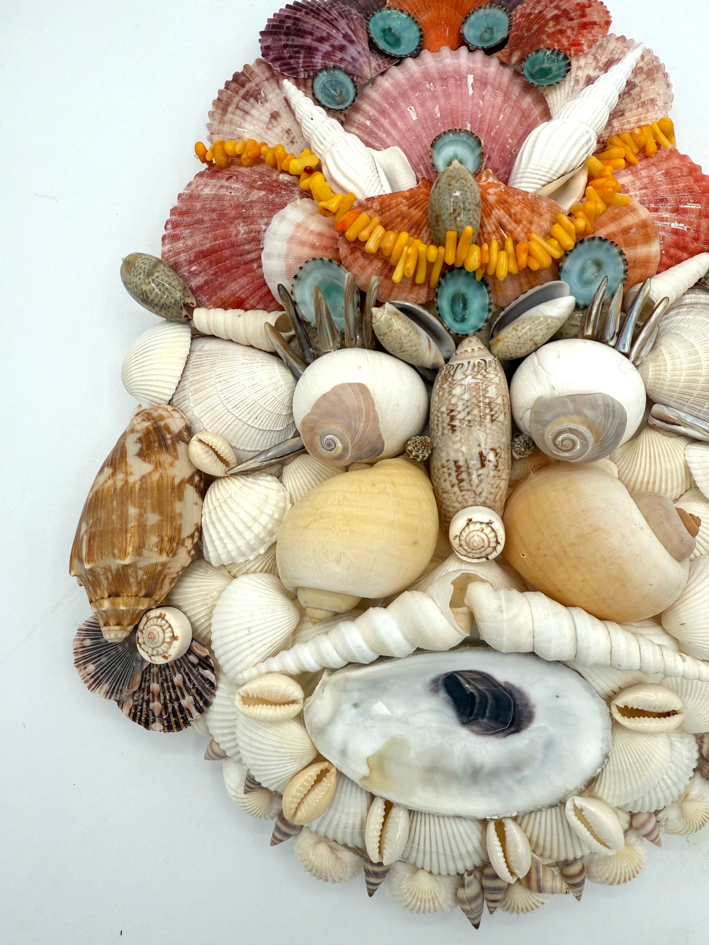 Shell Face
