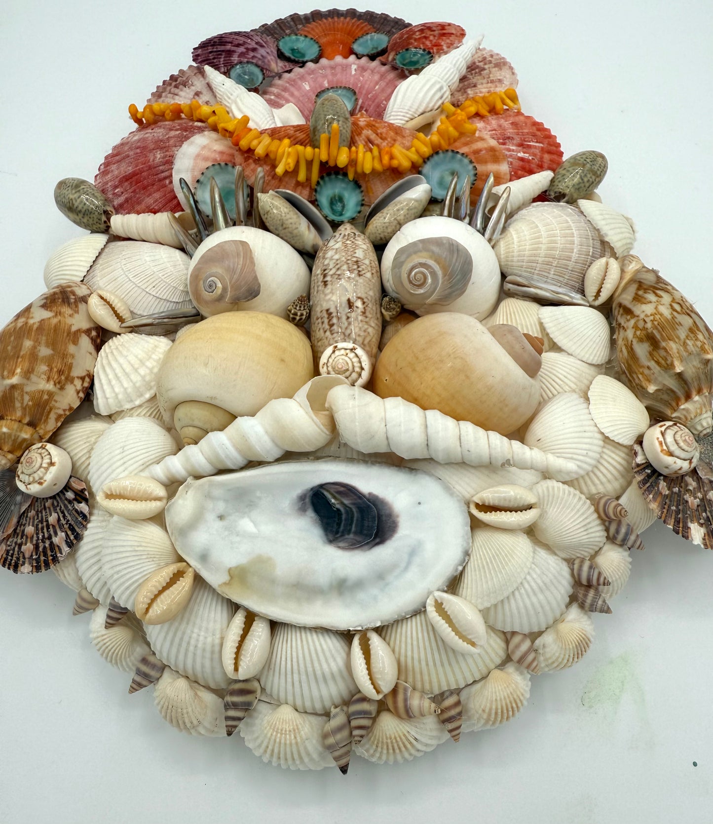 Shell Face
