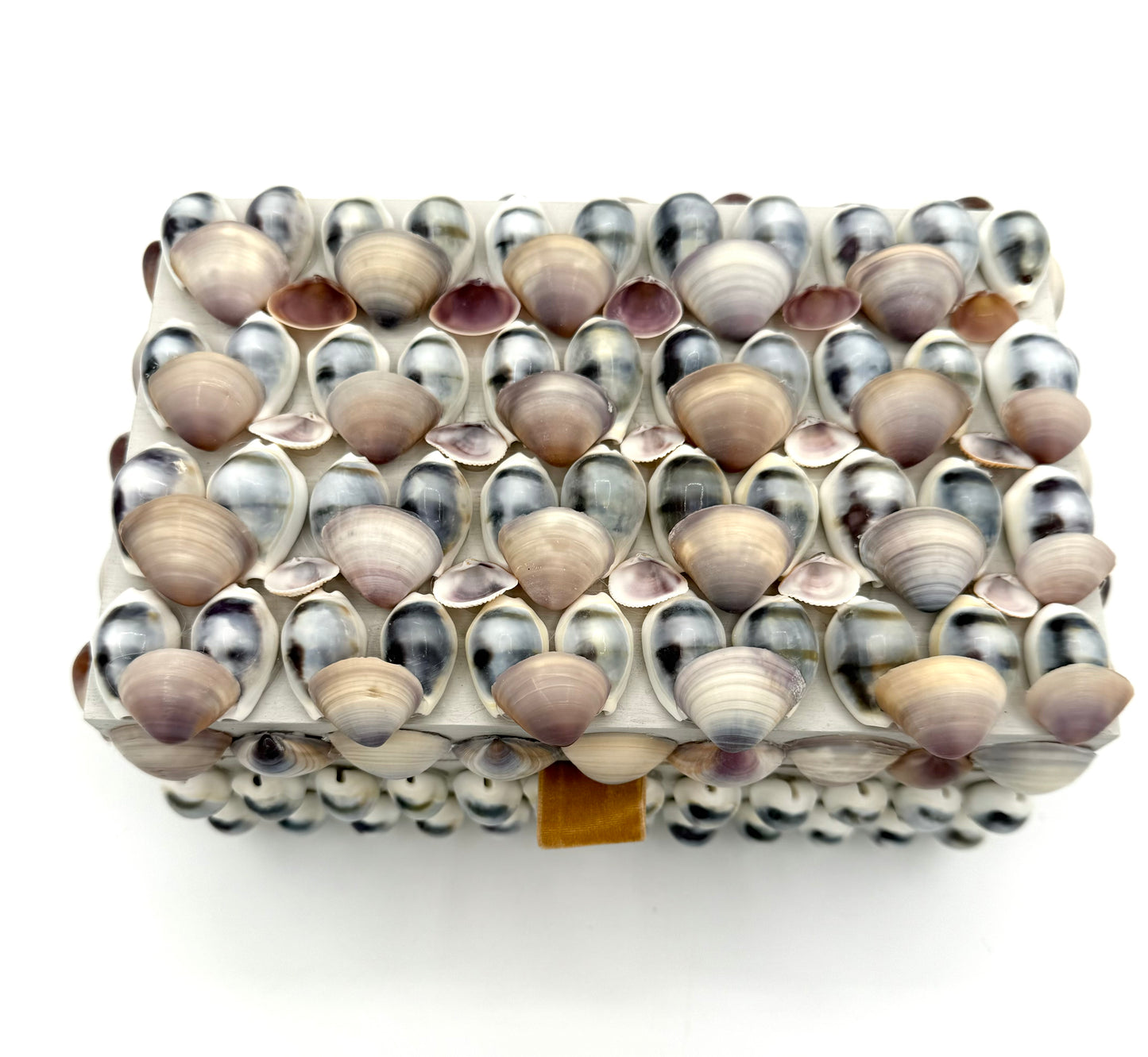 Shell Box