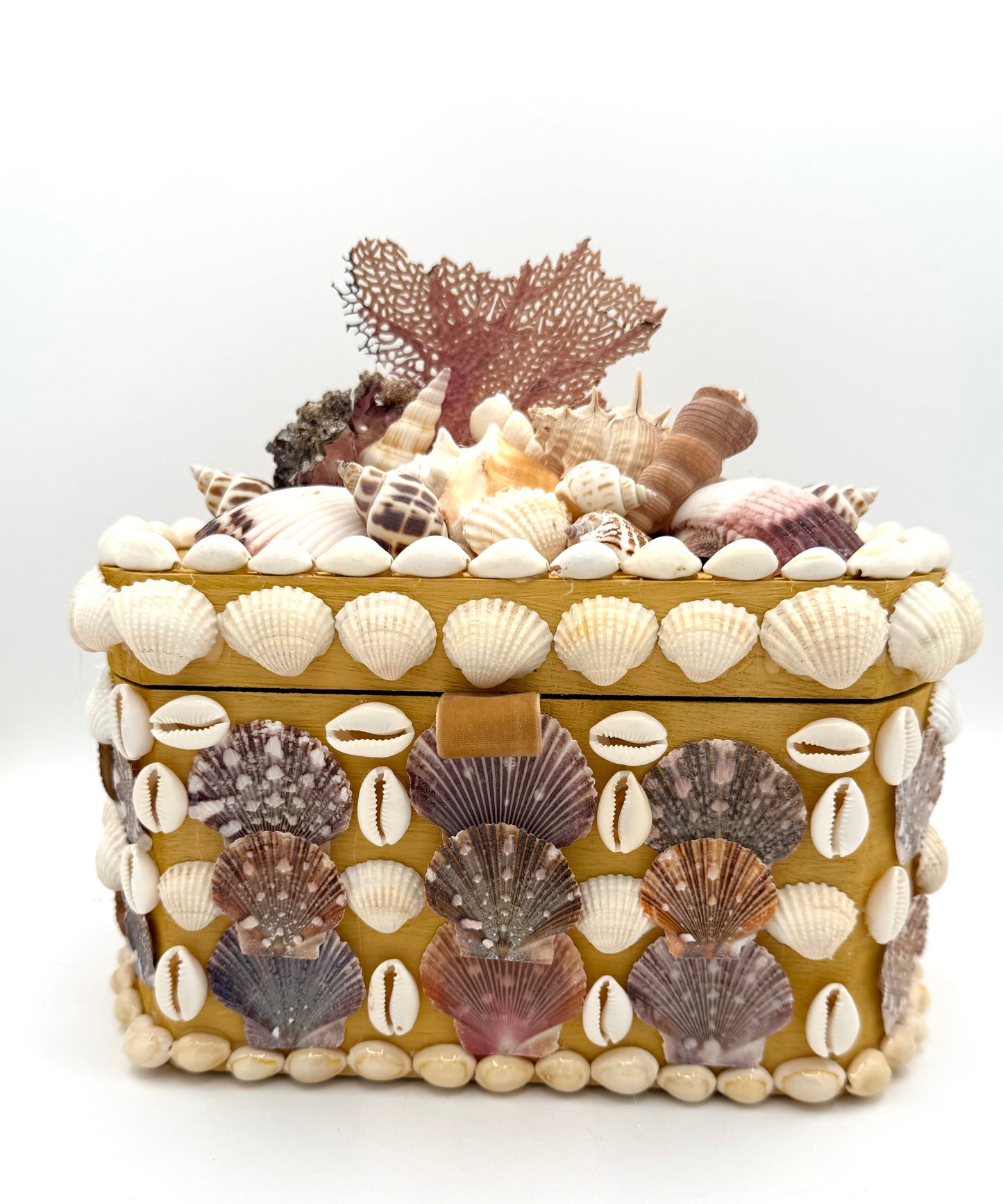 Shell Box