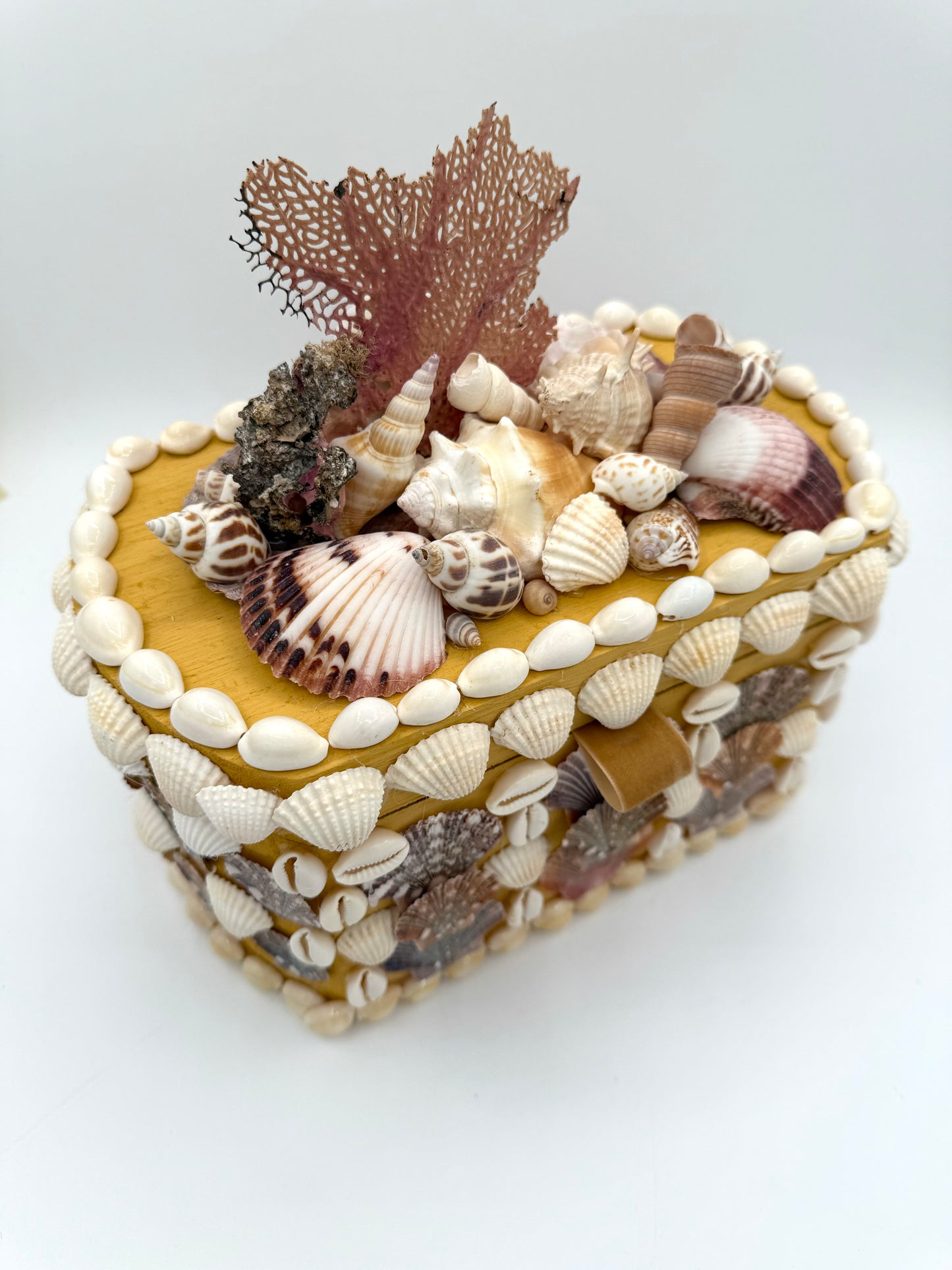Shell Box