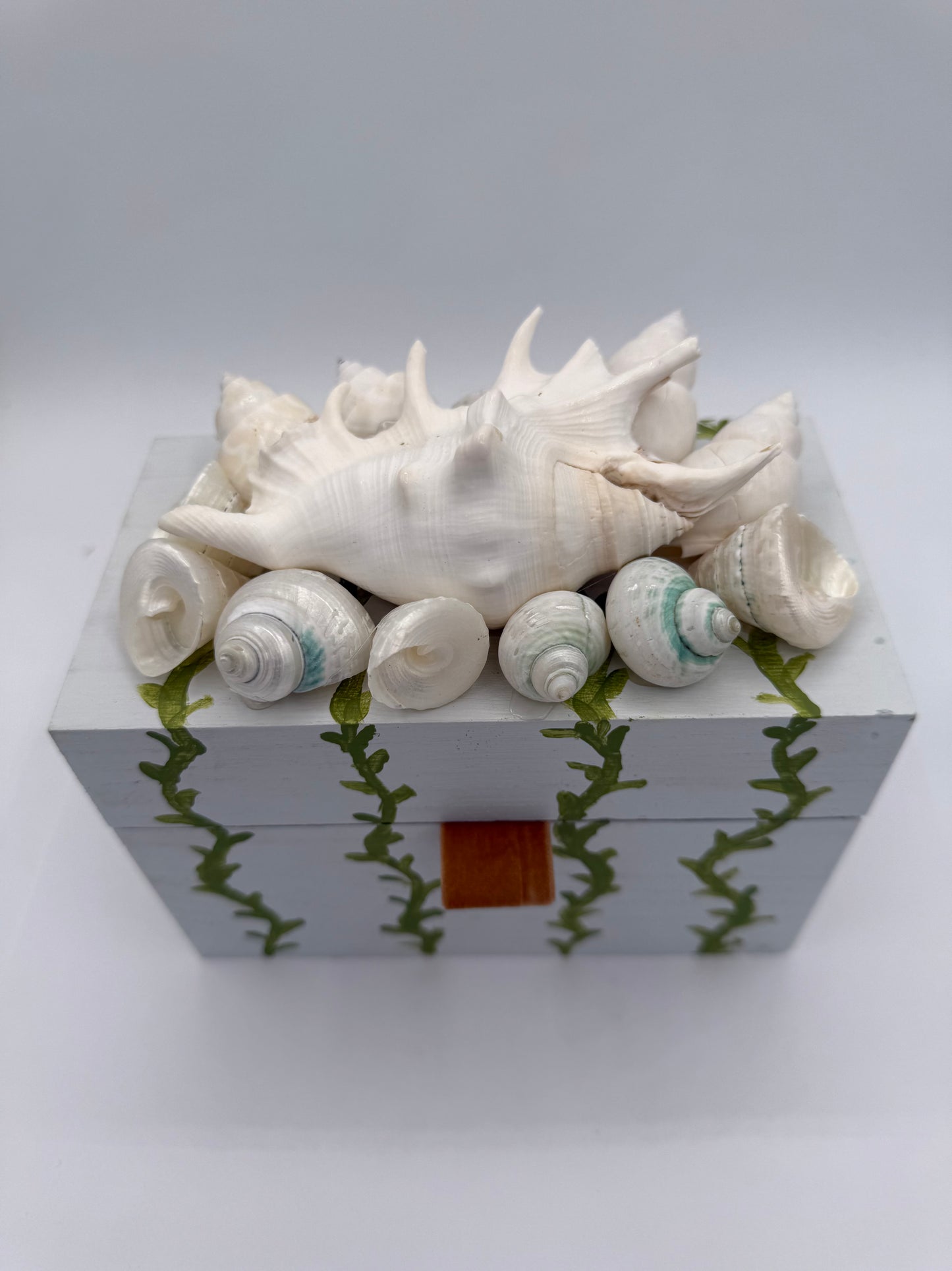 Painted Vine Shell Box