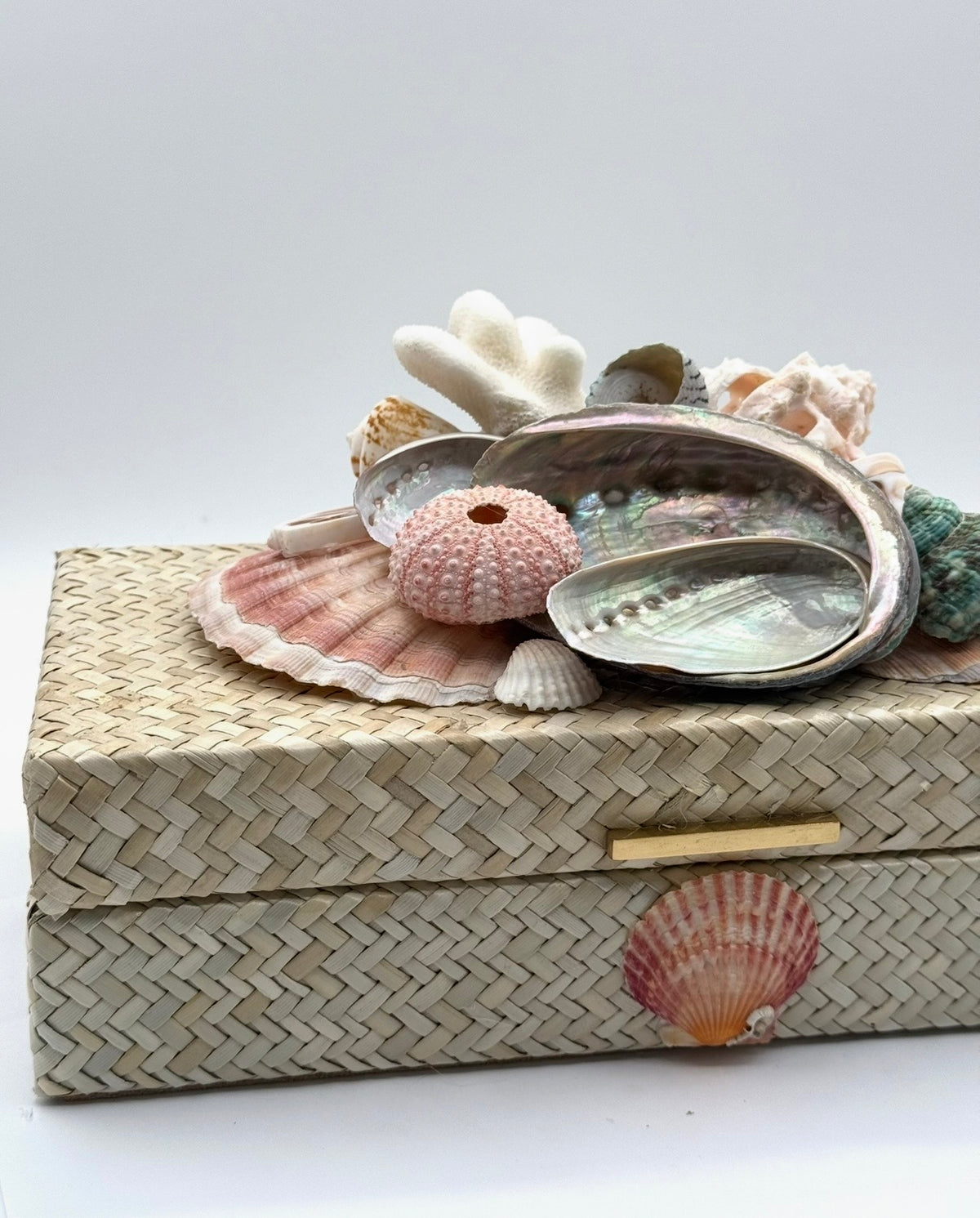 Shell Box