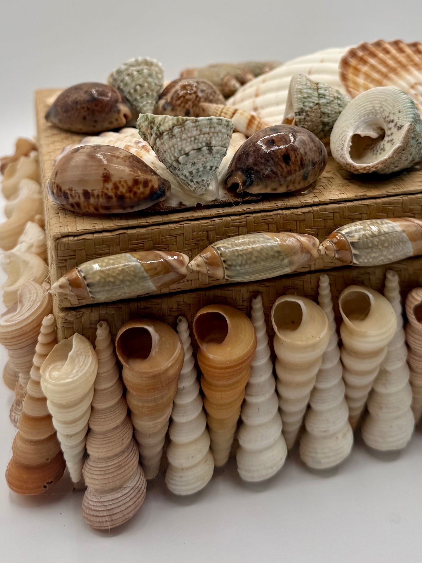 Shell Box