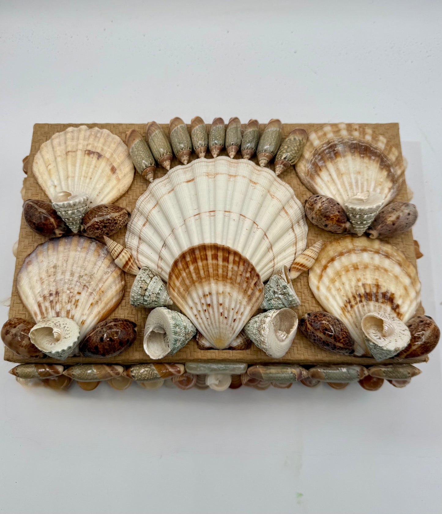 Shell Box