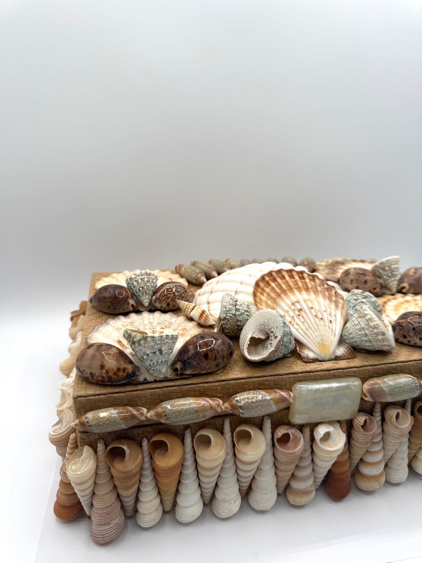 Shell Box