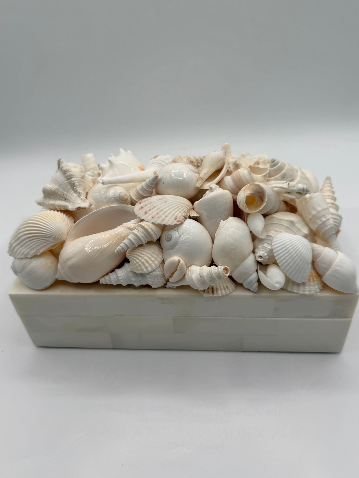 Bone Inlay Shell Box