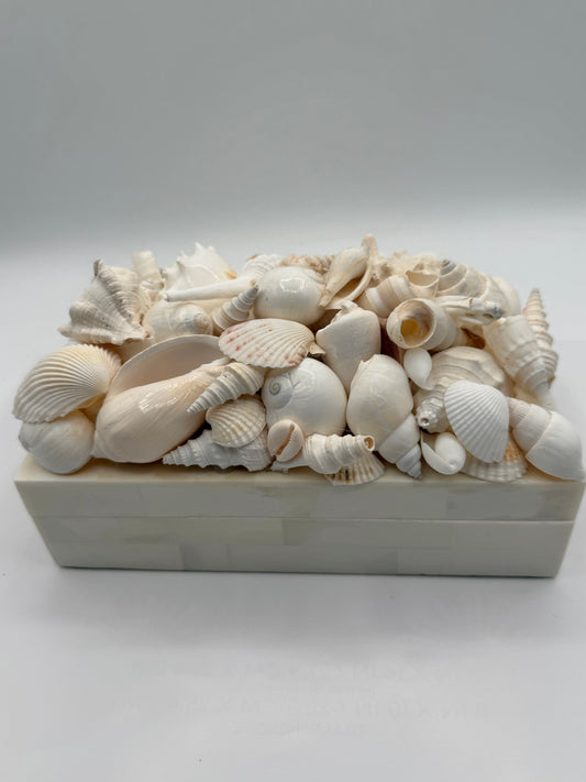Bone Inlay Shell Box