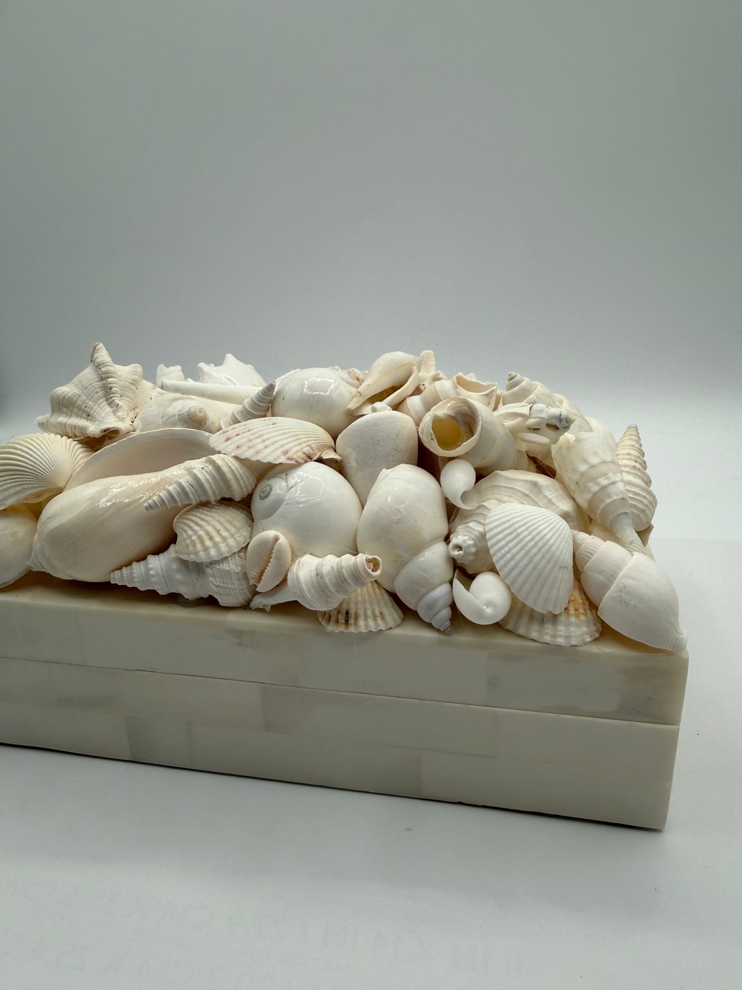 Bone Inlay Shell Box