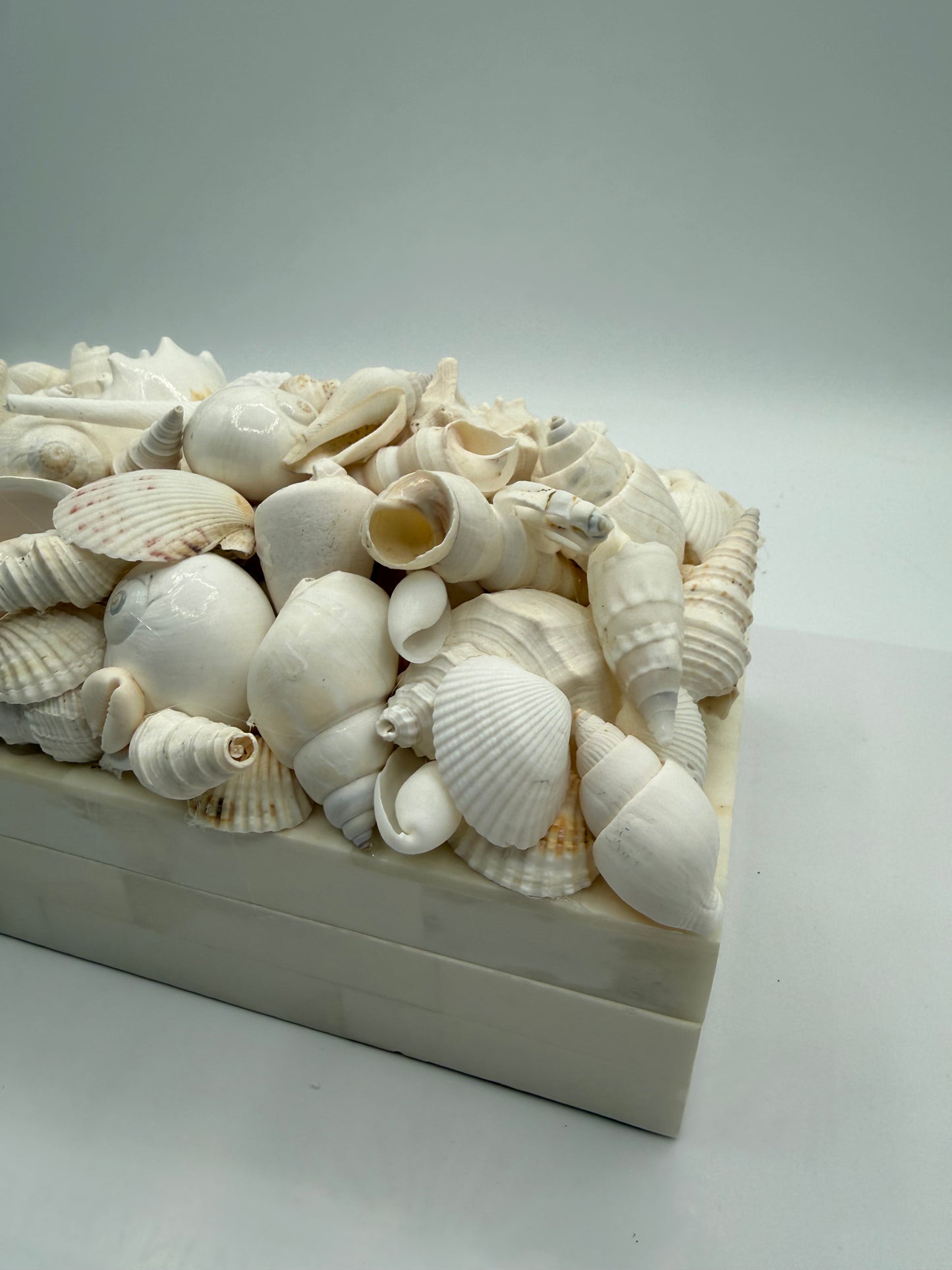 Bone Inlay Shell Box