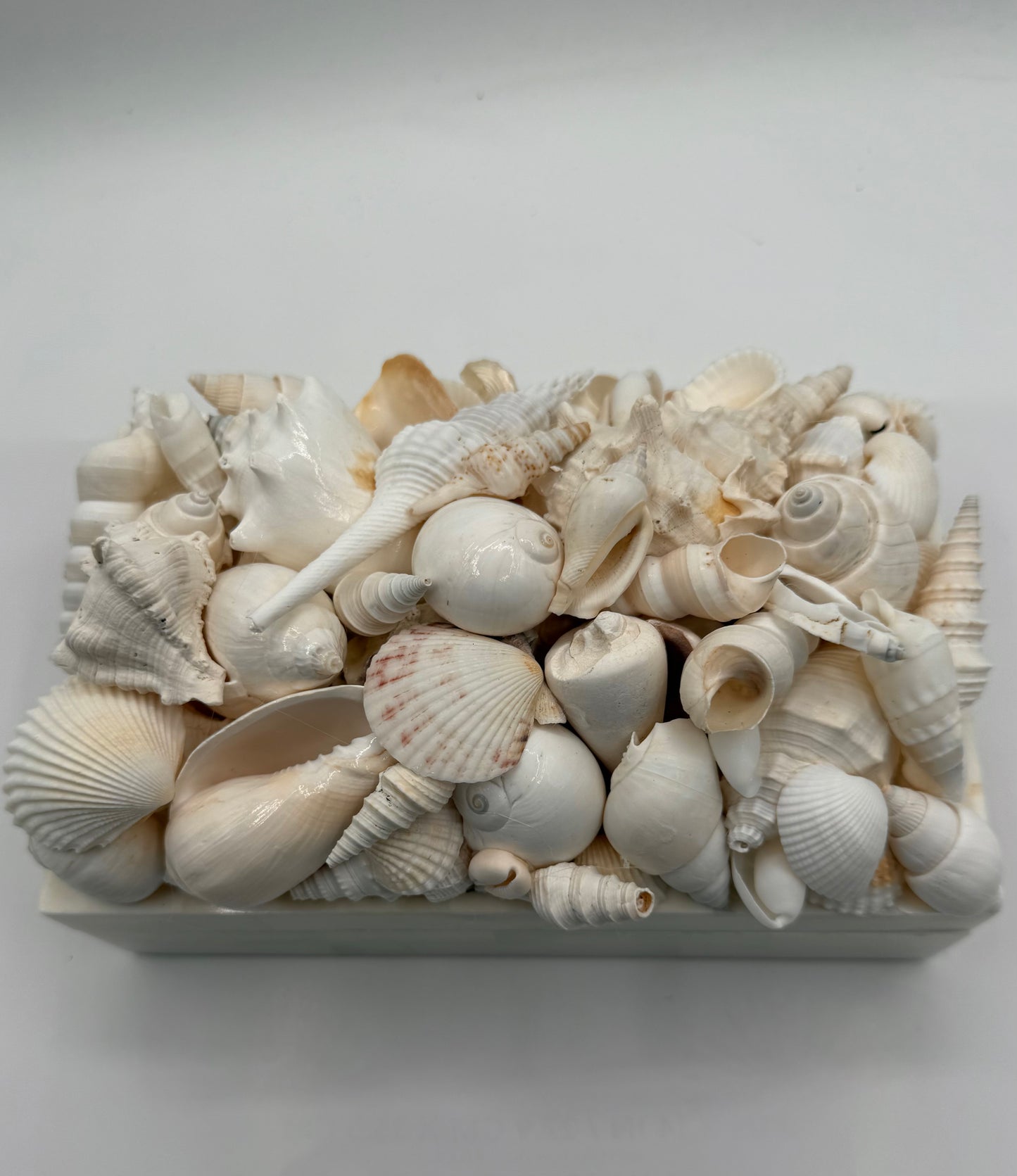 Bone Inlay Shell Box