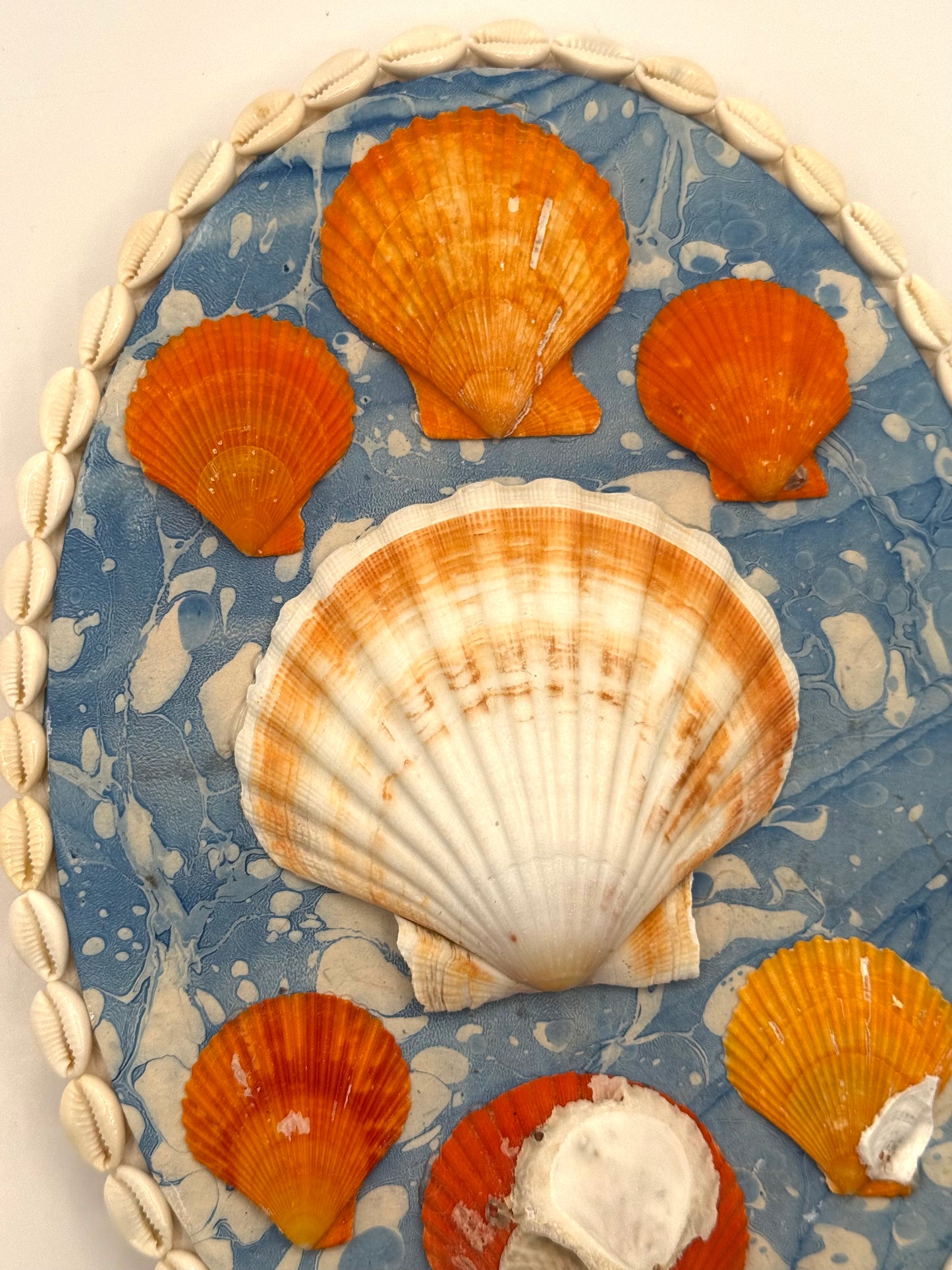 Shell Panel