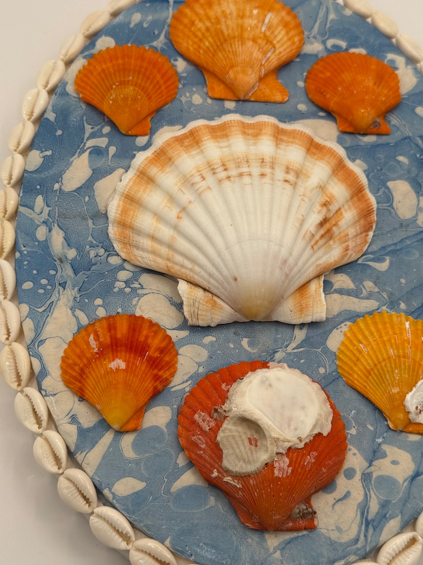 Shell Panel