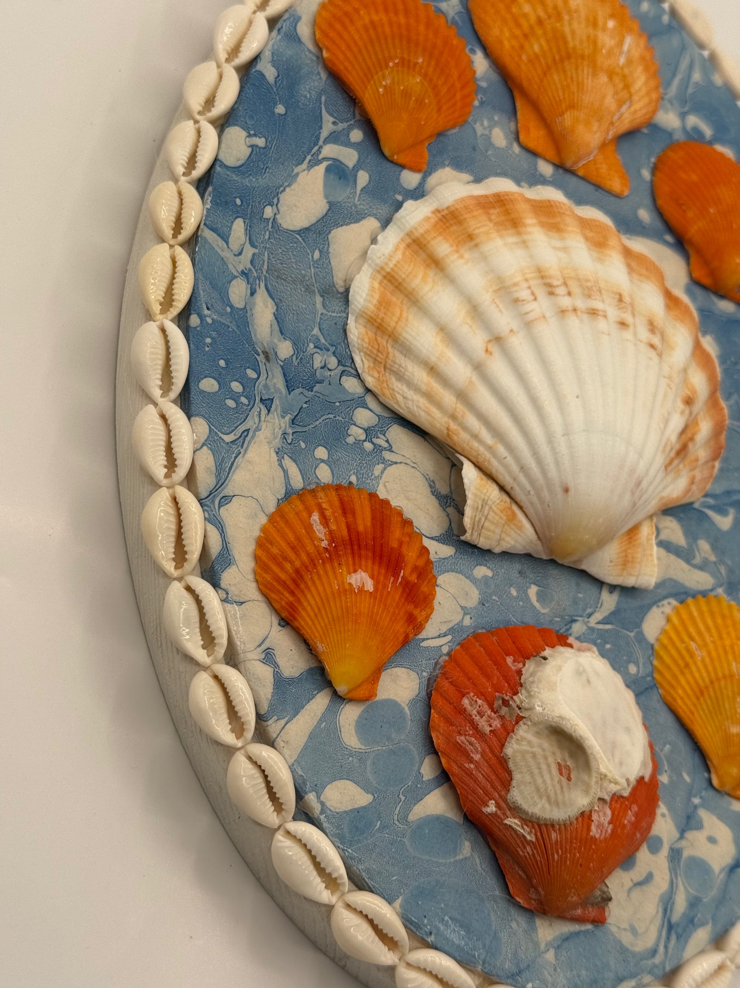 Shell Panel