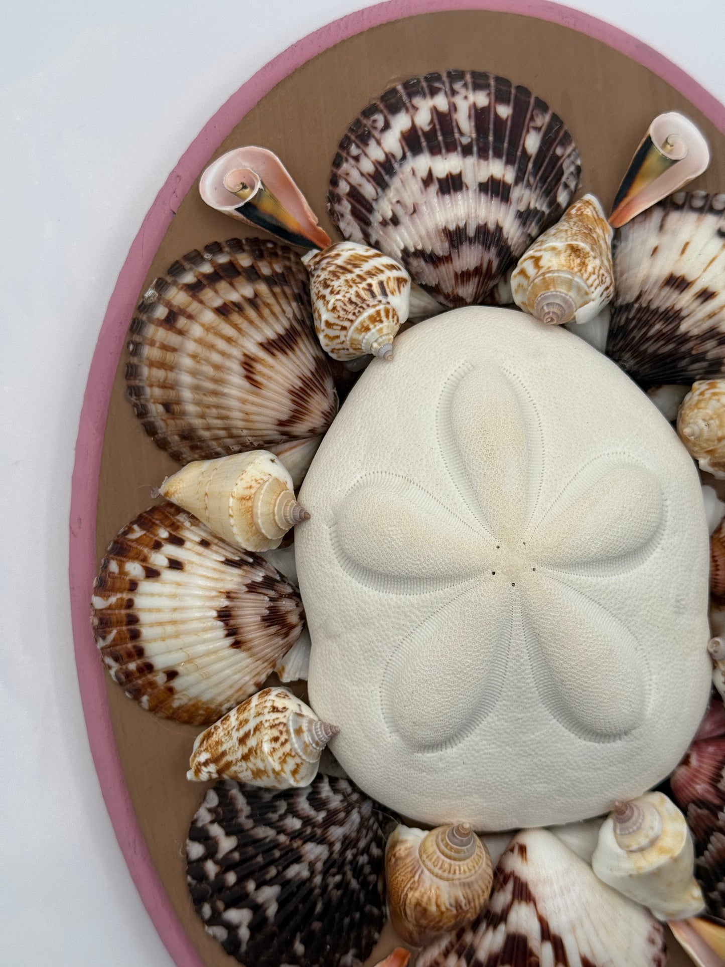 Shell Panel