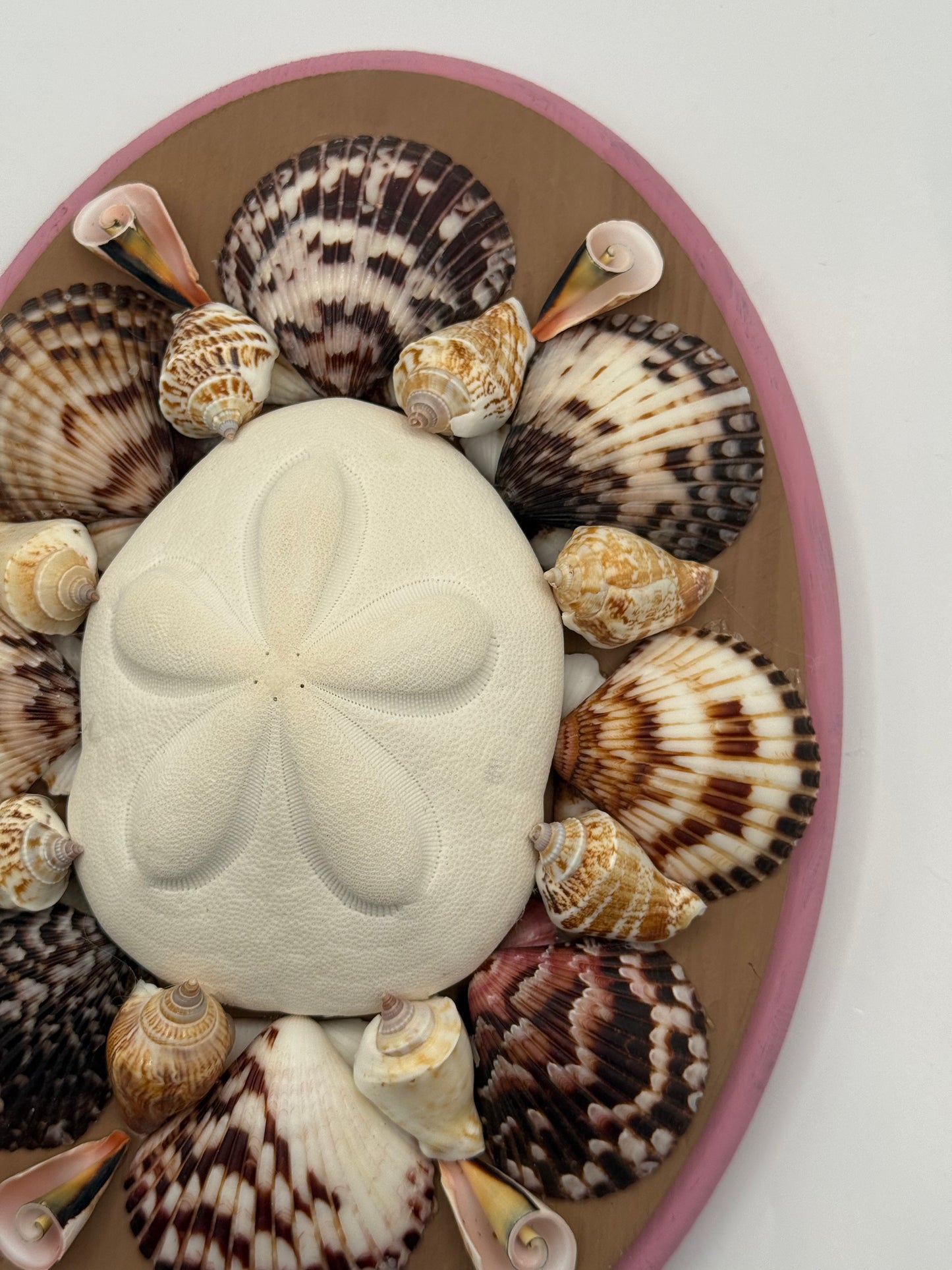 Shell Panel