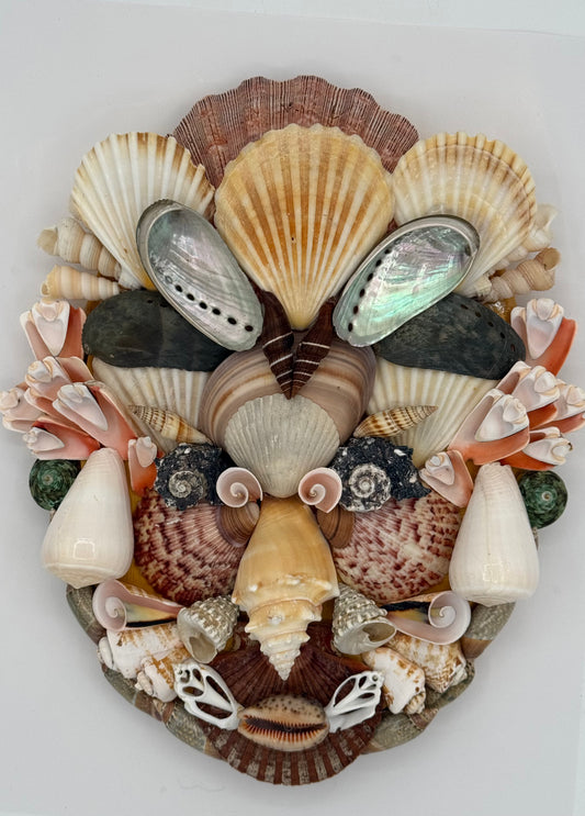 Shell Face