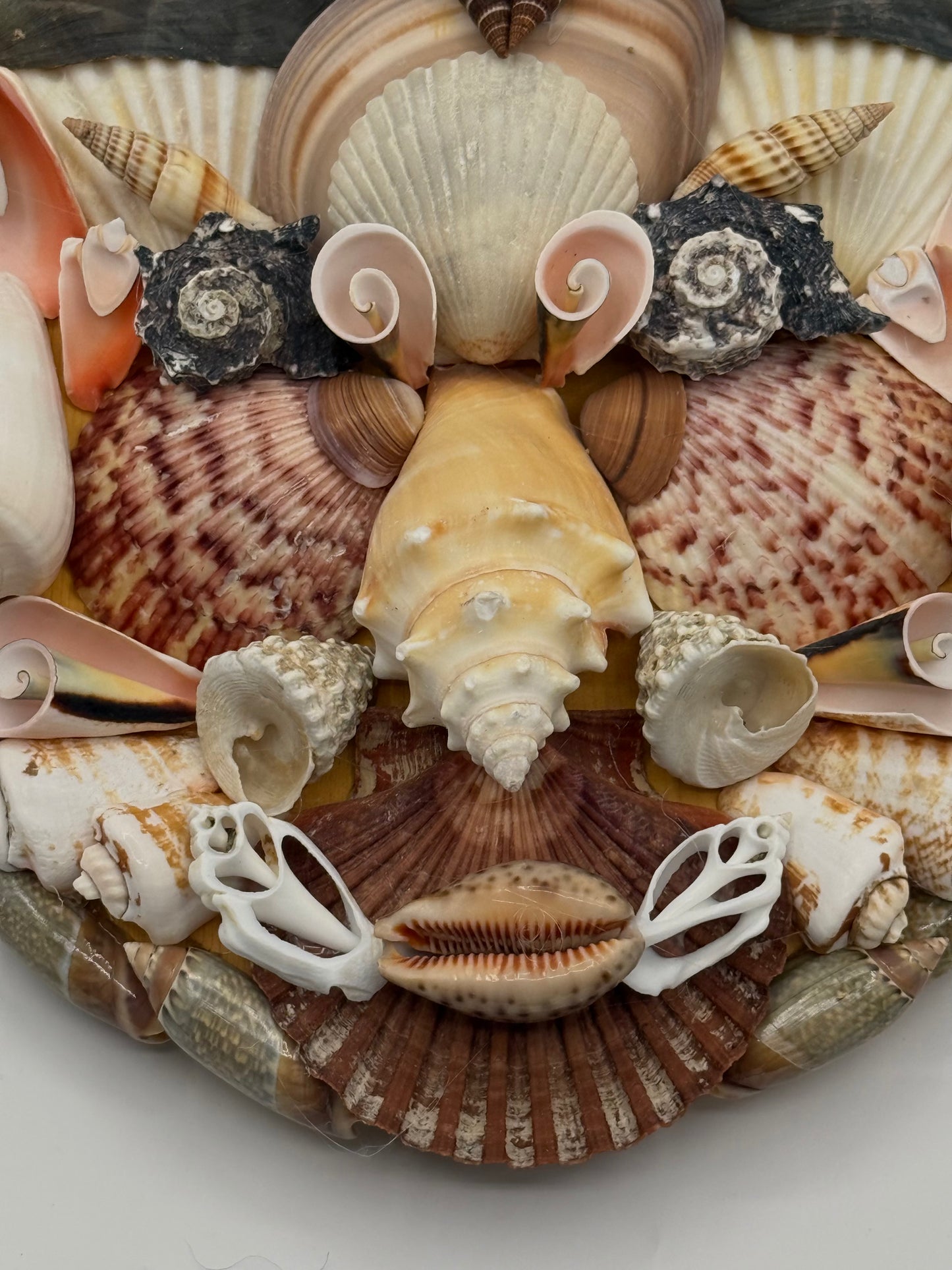 Shell Face