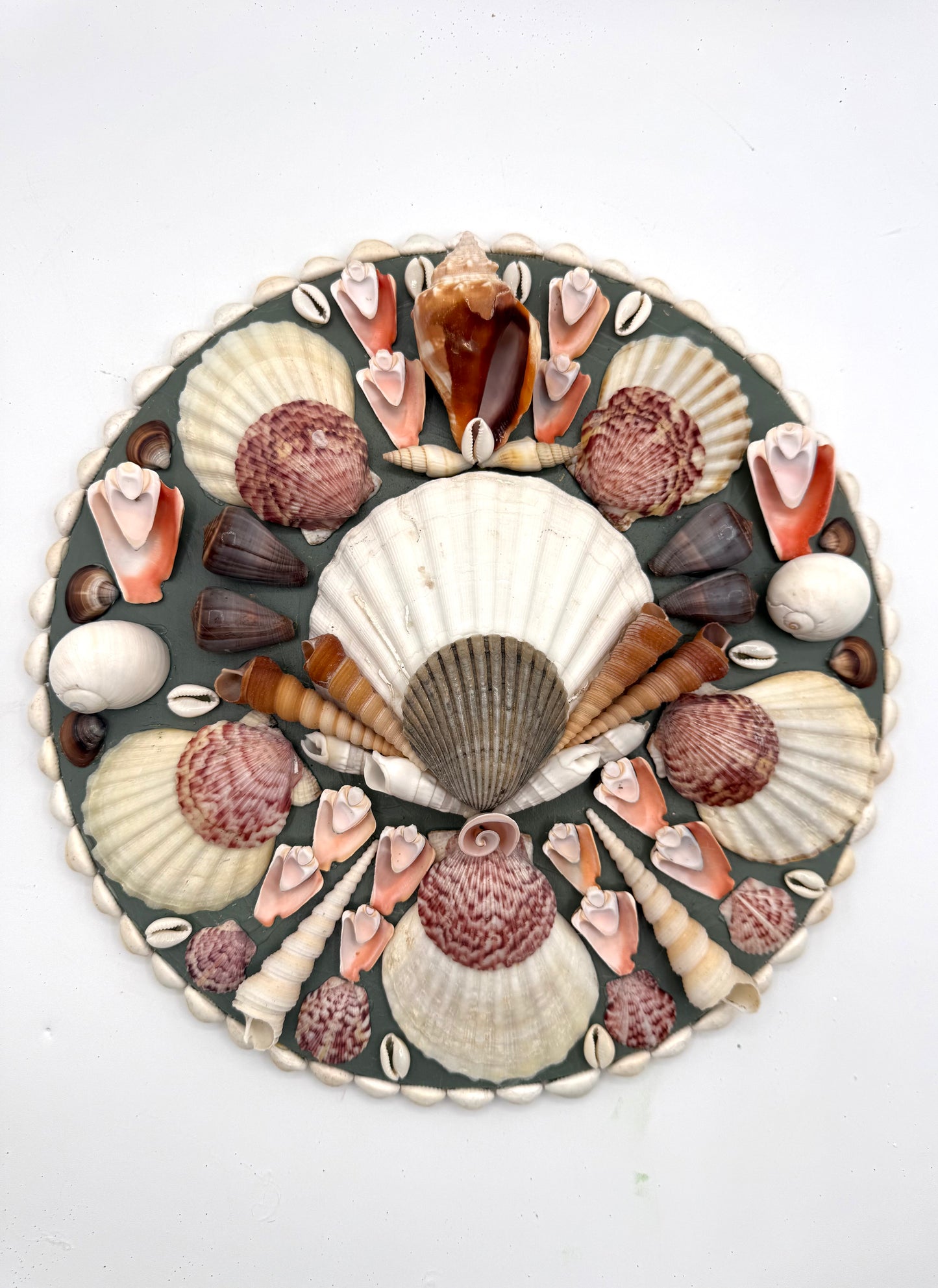 Shell Panel 12"