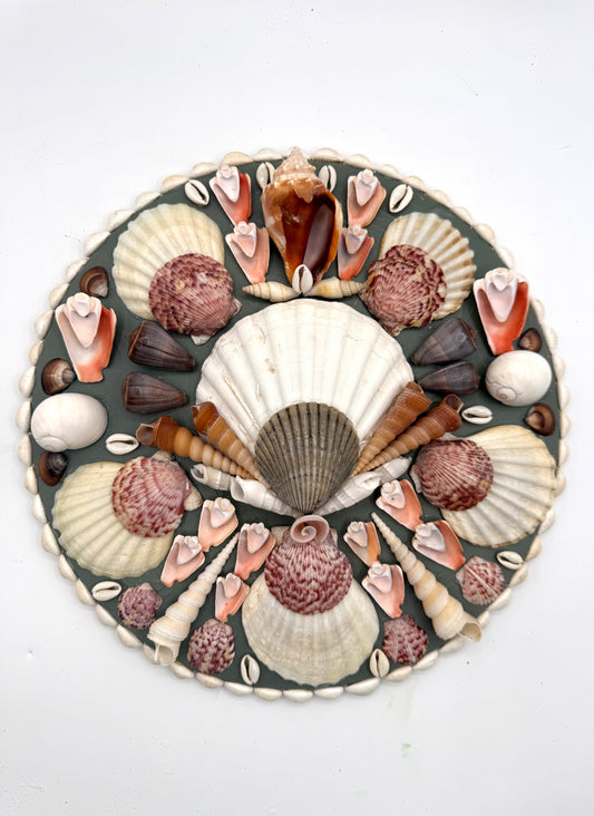 Shell Panel 12"