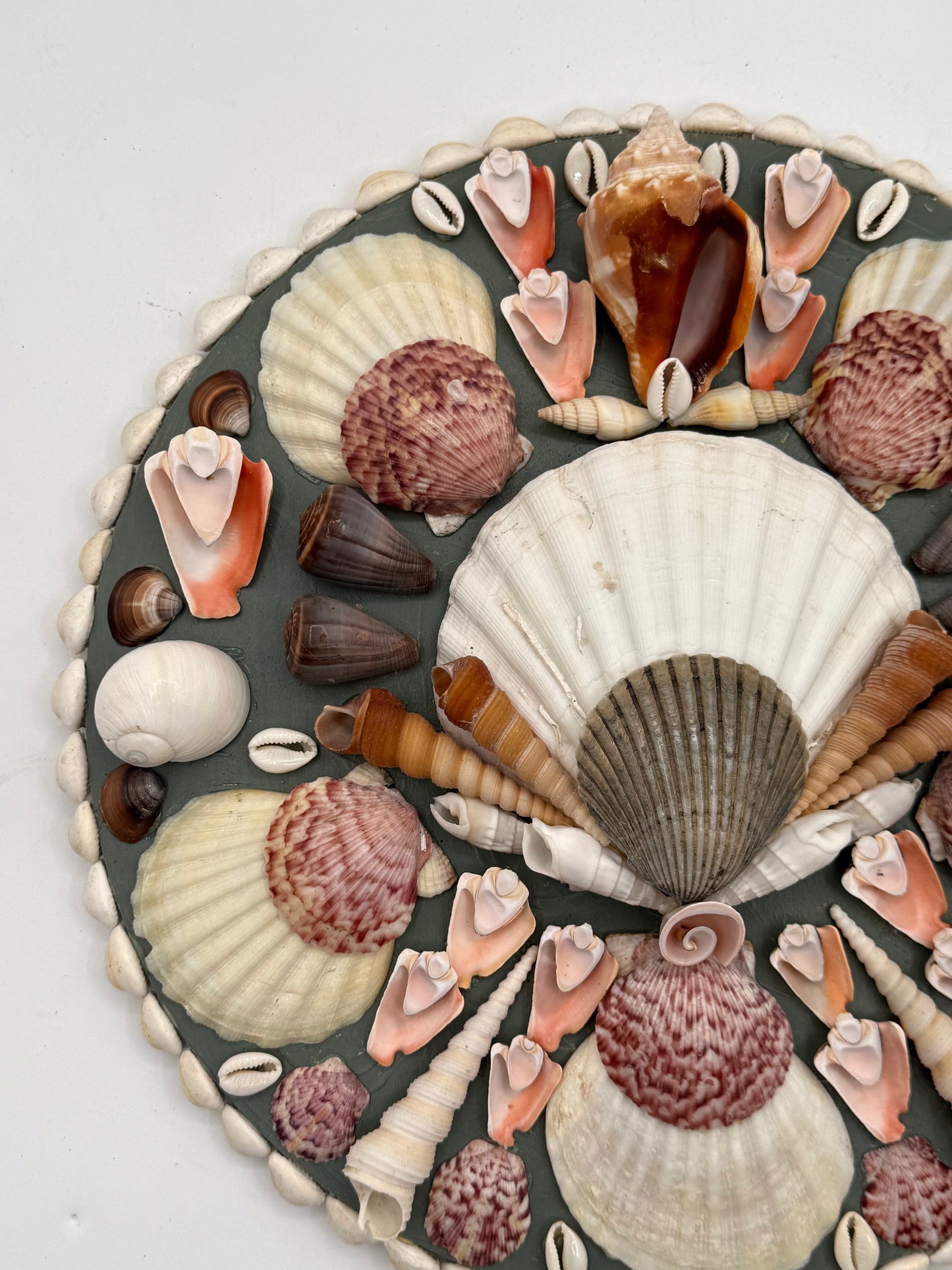 Shell Panel 12"