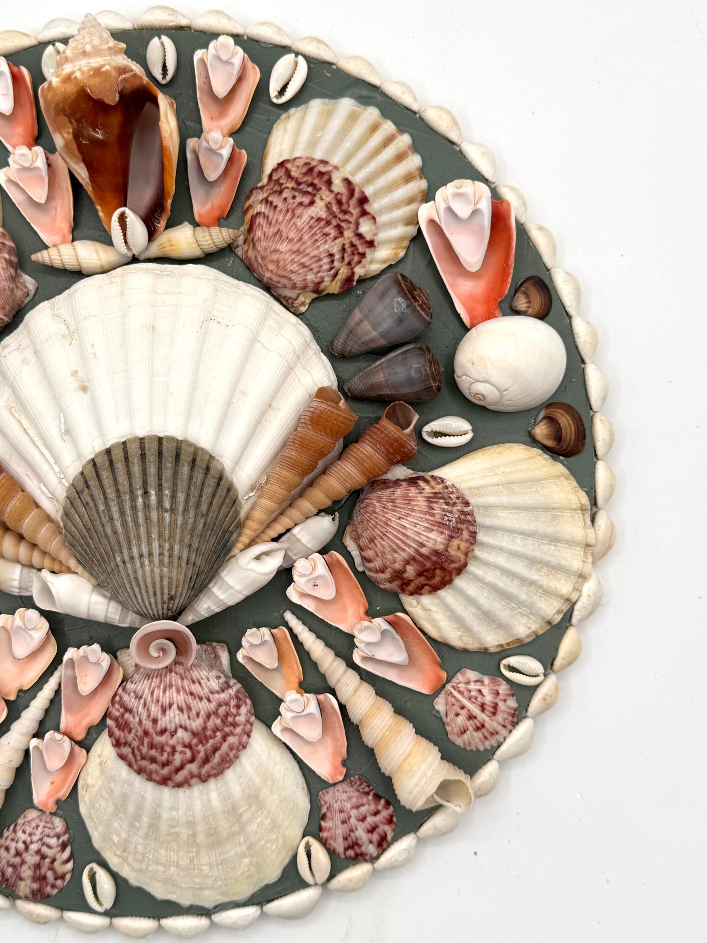 Shell Panel 12"