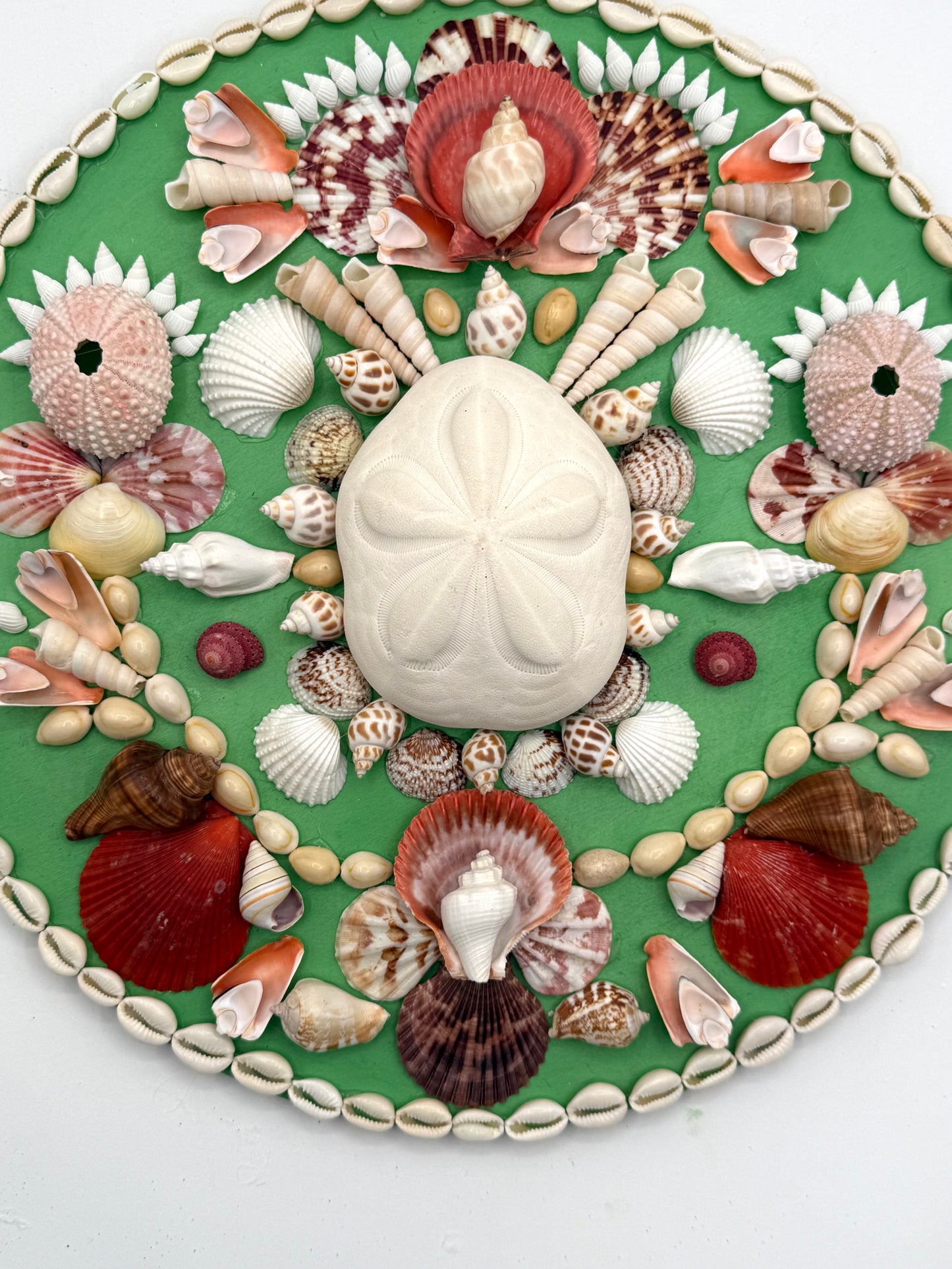 Round Shell Panel, 14"