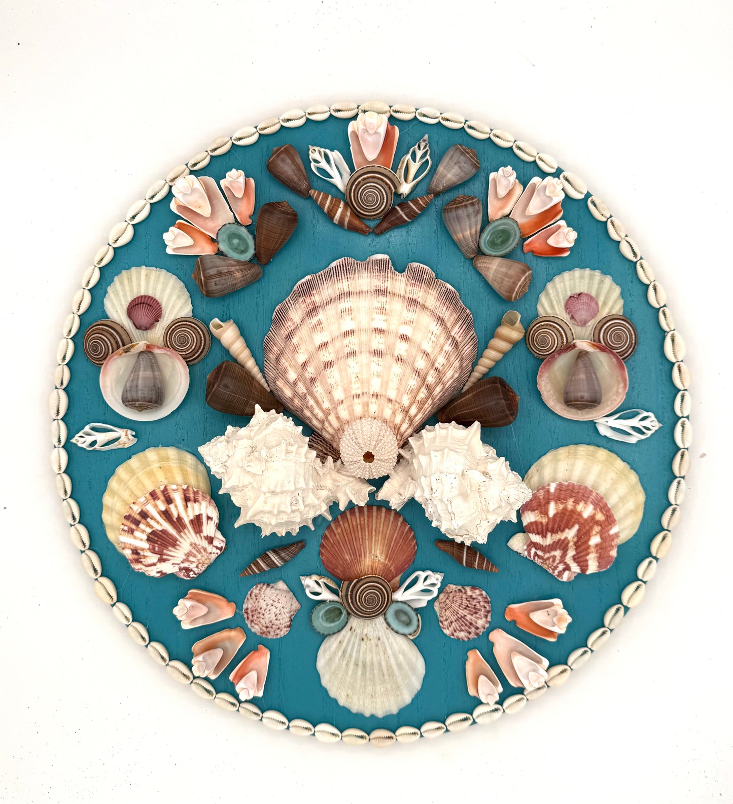 Shell Panel 15"