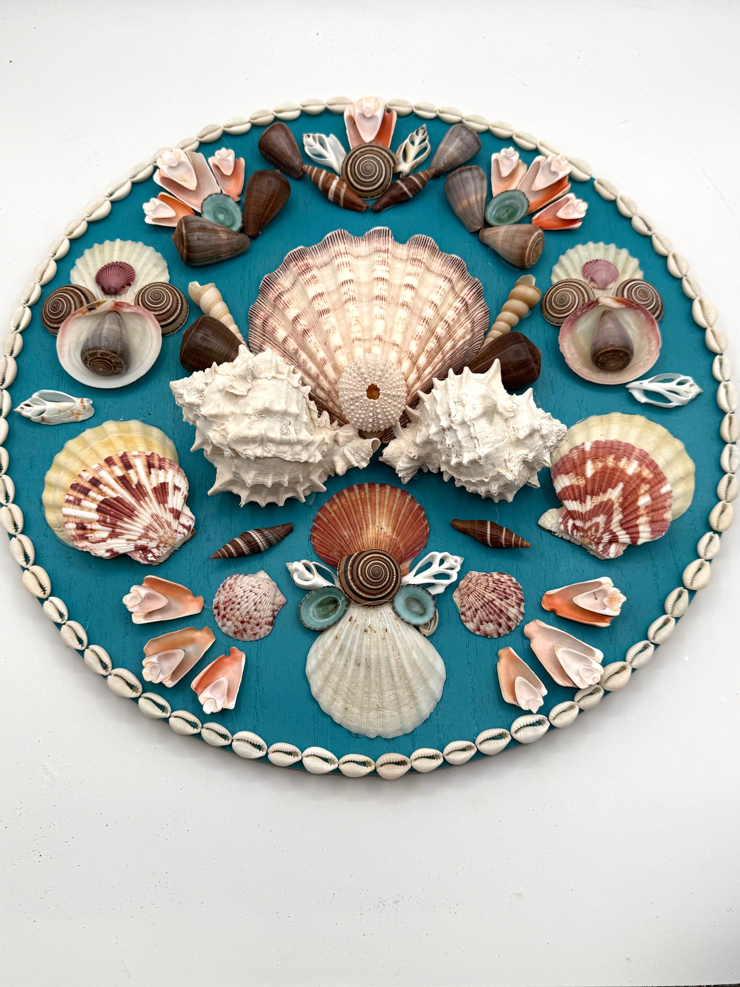 Shell Panel 15"