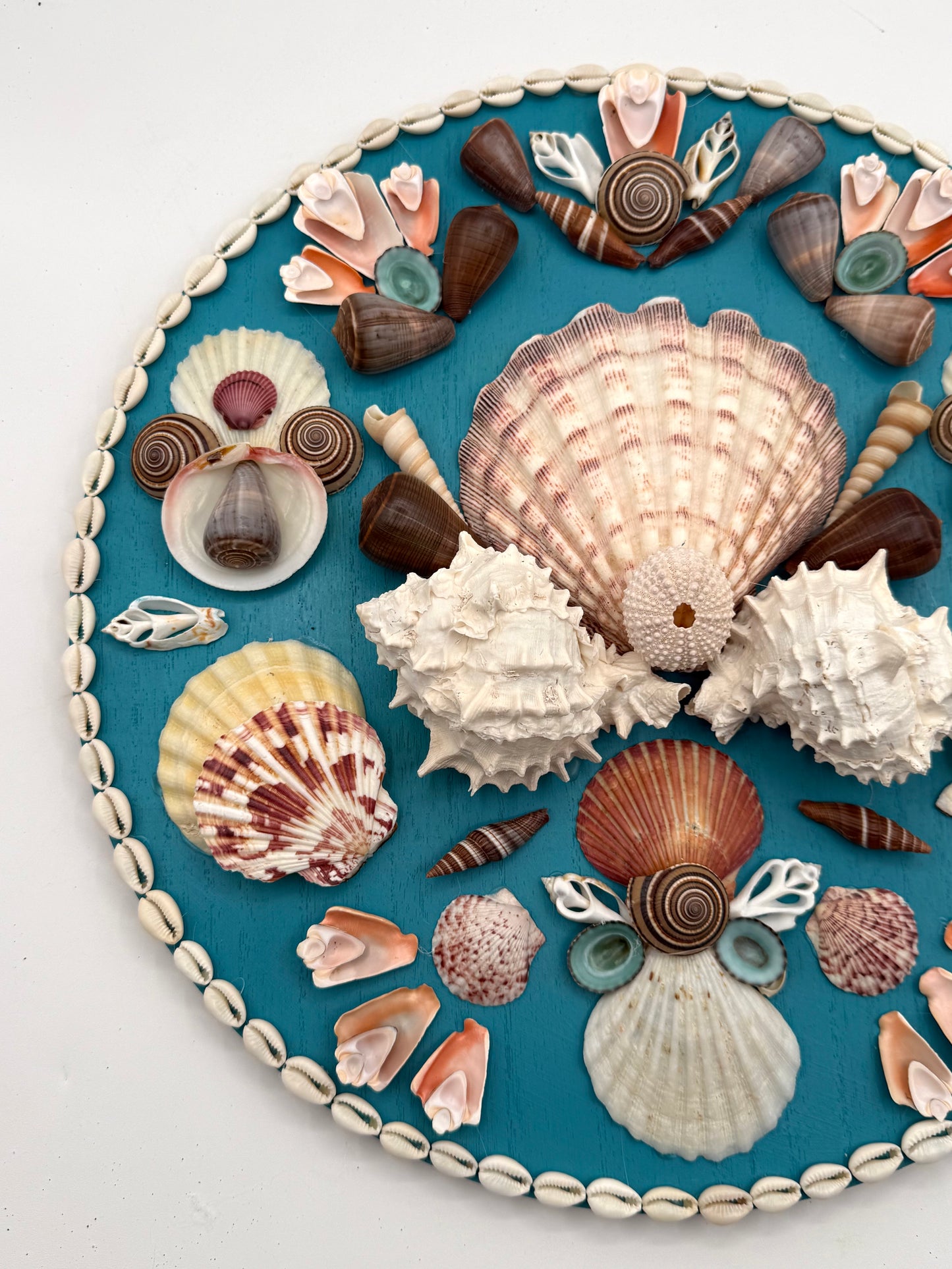 Shell Panel 15"