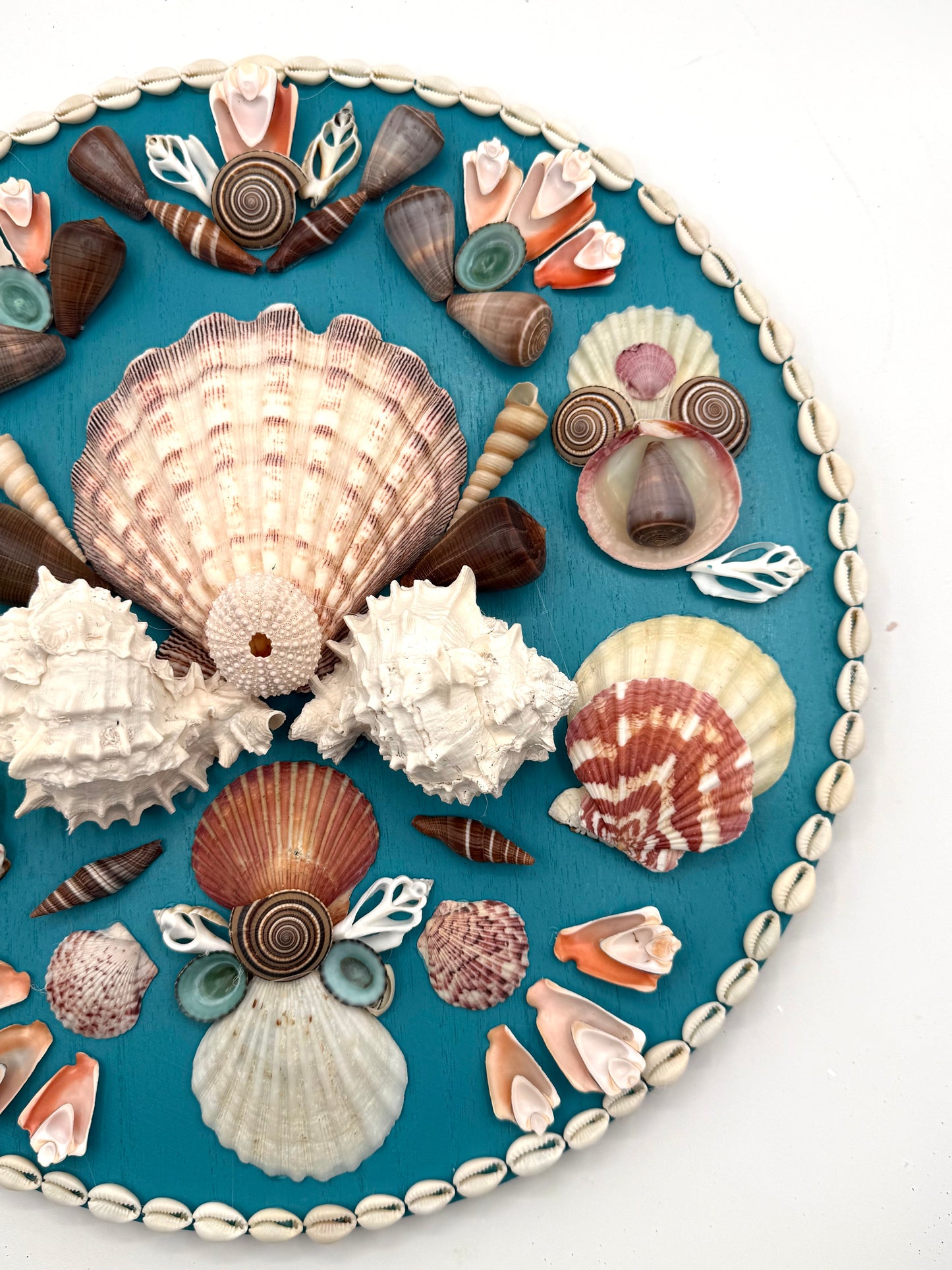 Shell Panel 15"