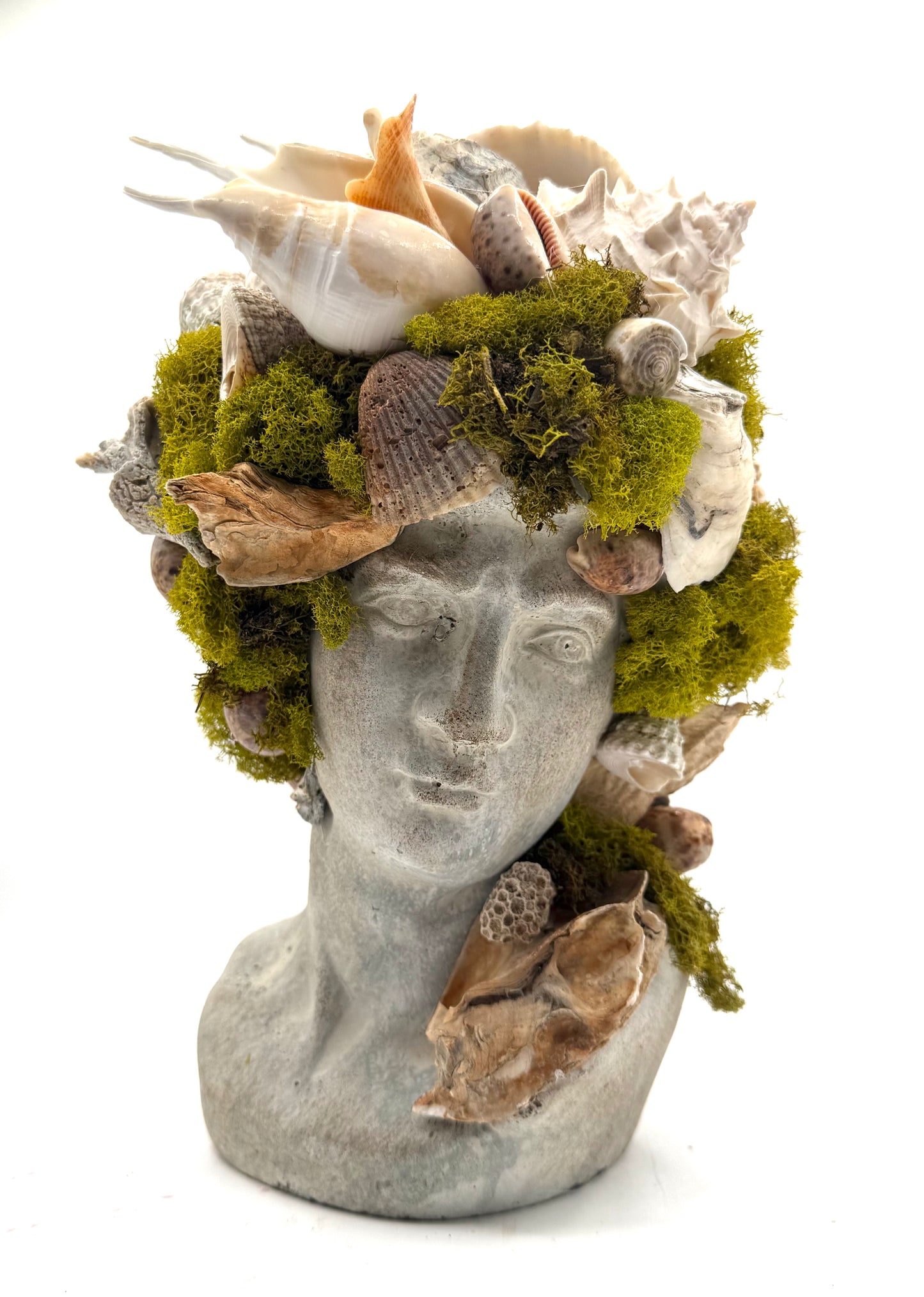 Greek God Moss Shell Bust