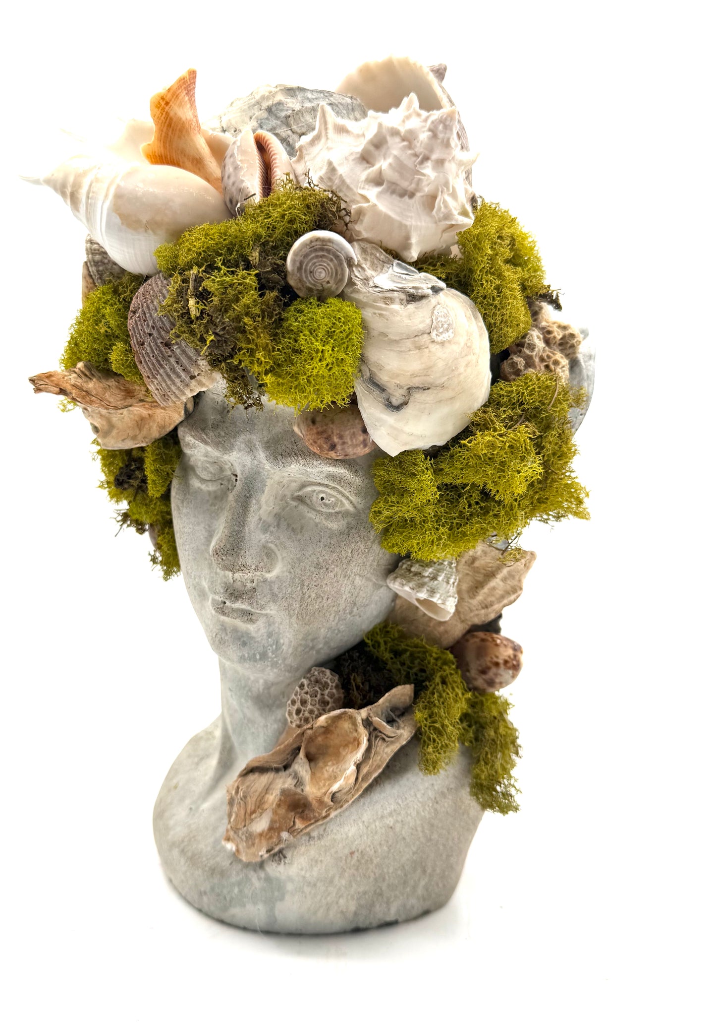 Greek God Moss Shell Bust