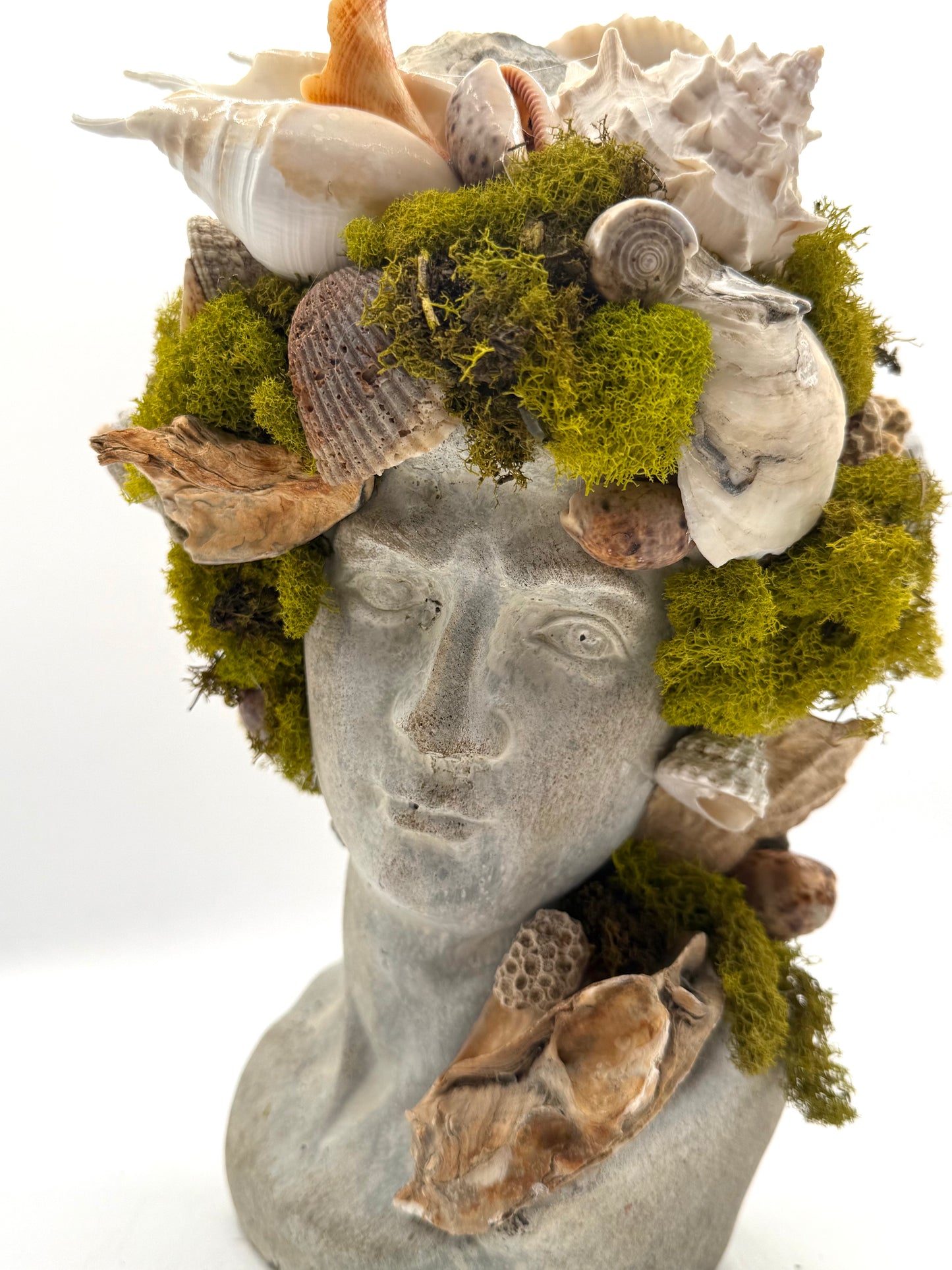 Greek God Moss Shell Bust