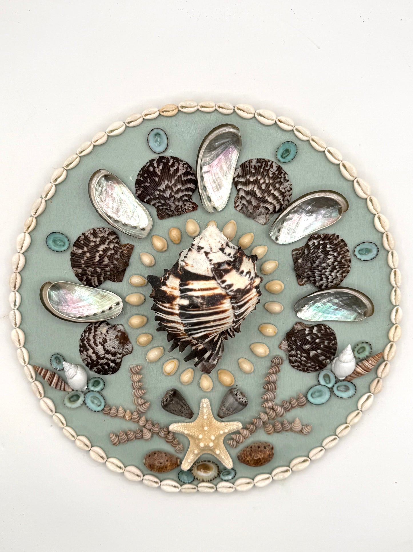 Shell Panel 14"
