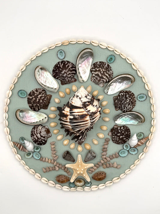 Shell Panel 14"