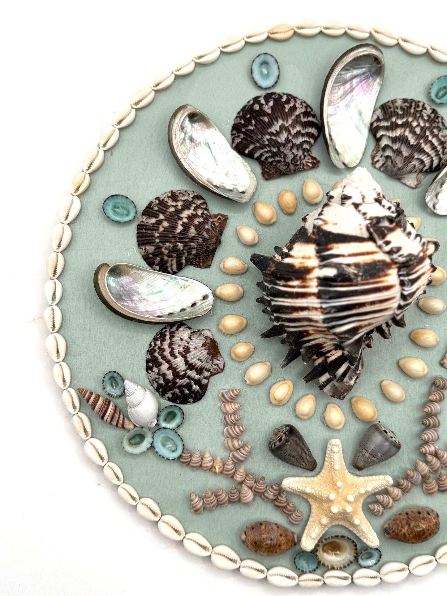 Shell Panel 14"